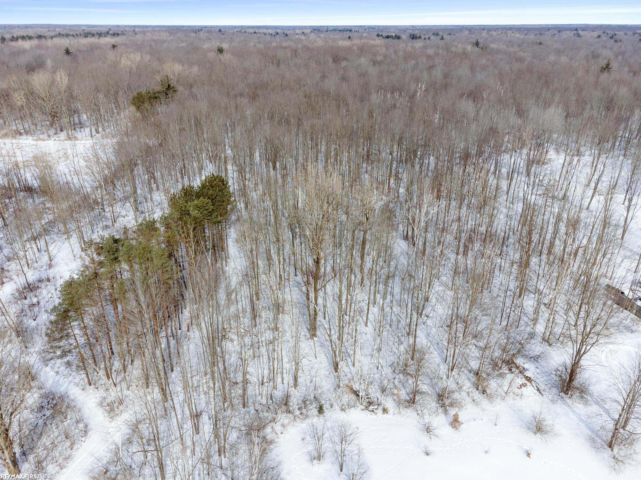 6776 Ravenswood Road, MI — Photo 54