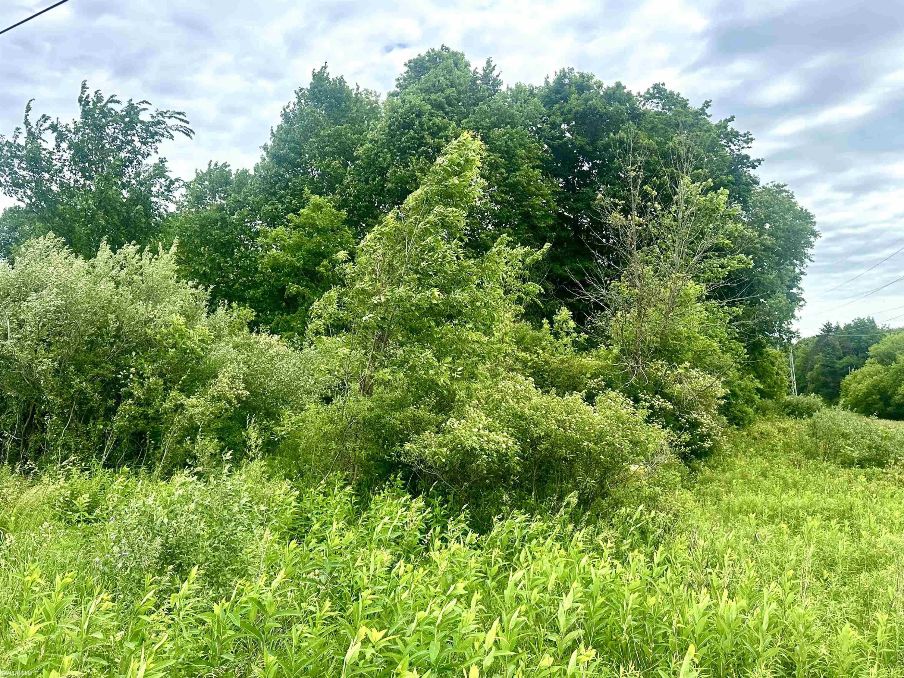 VL BRAIDWOOD PARCEL 5 Road, MI