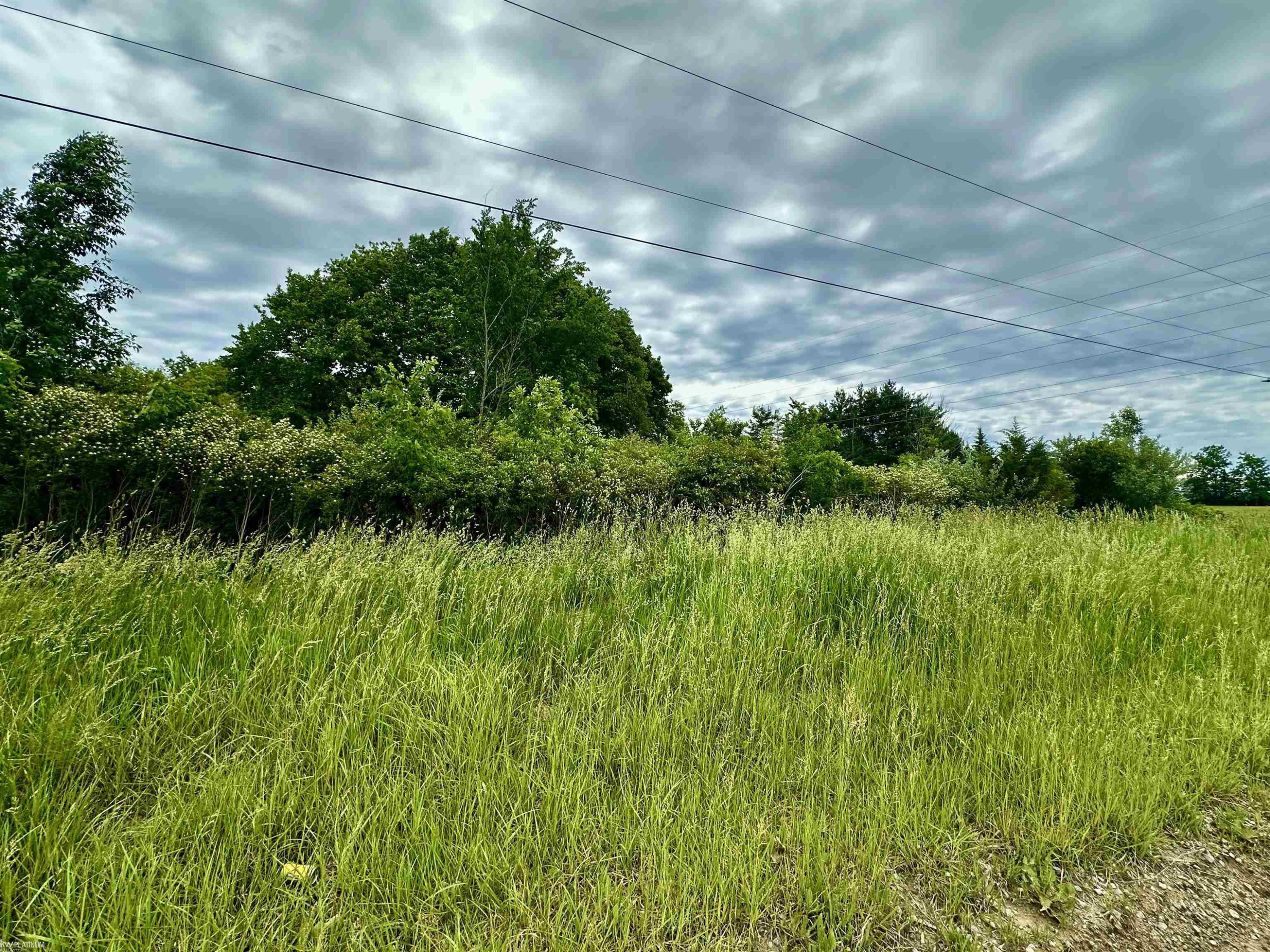 VL BRAIDWOOD PARCEL 5 Road, MI — Photo 2