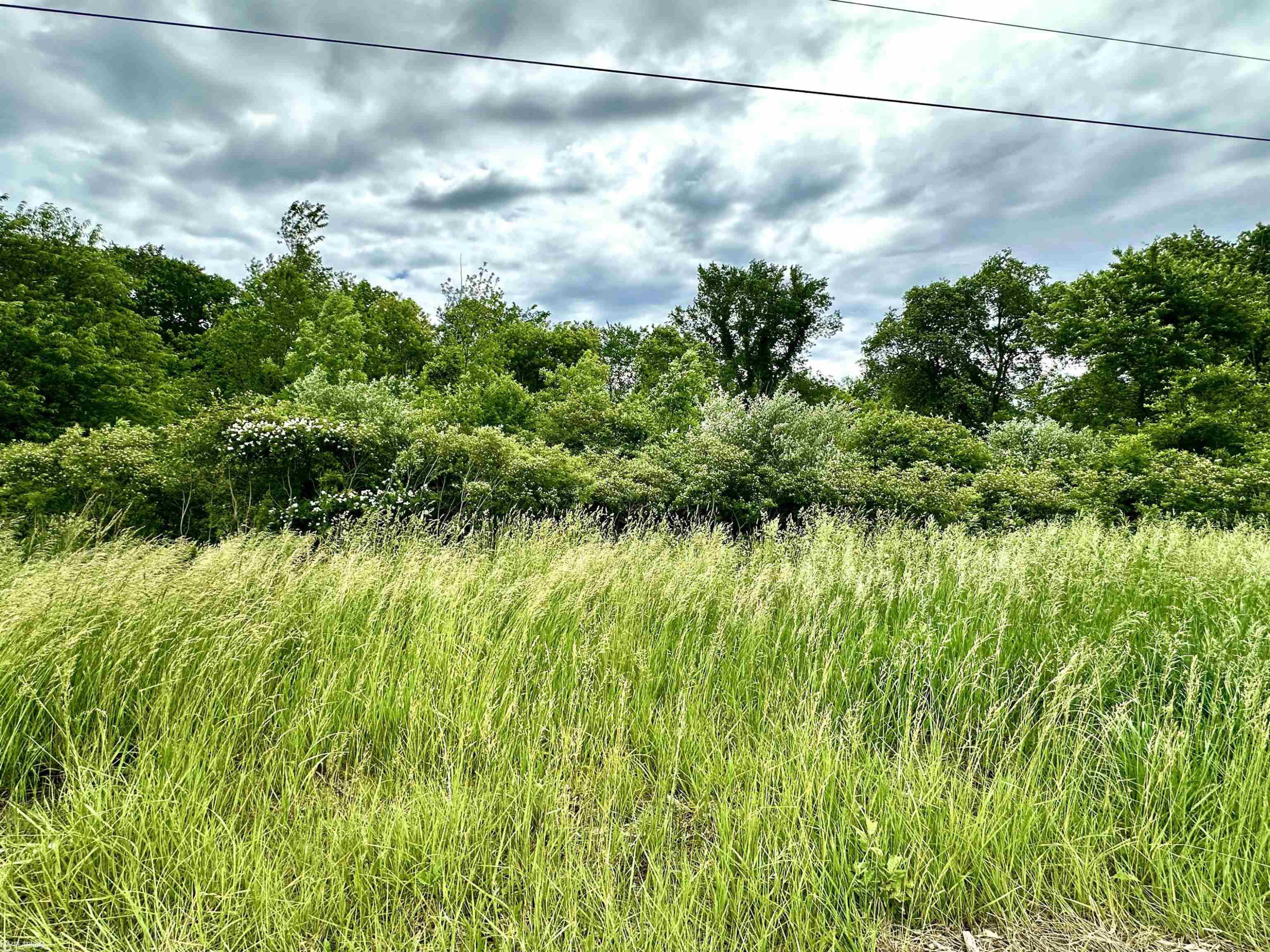 VL BRAIDWOOD PARCEL 4 Road, MI