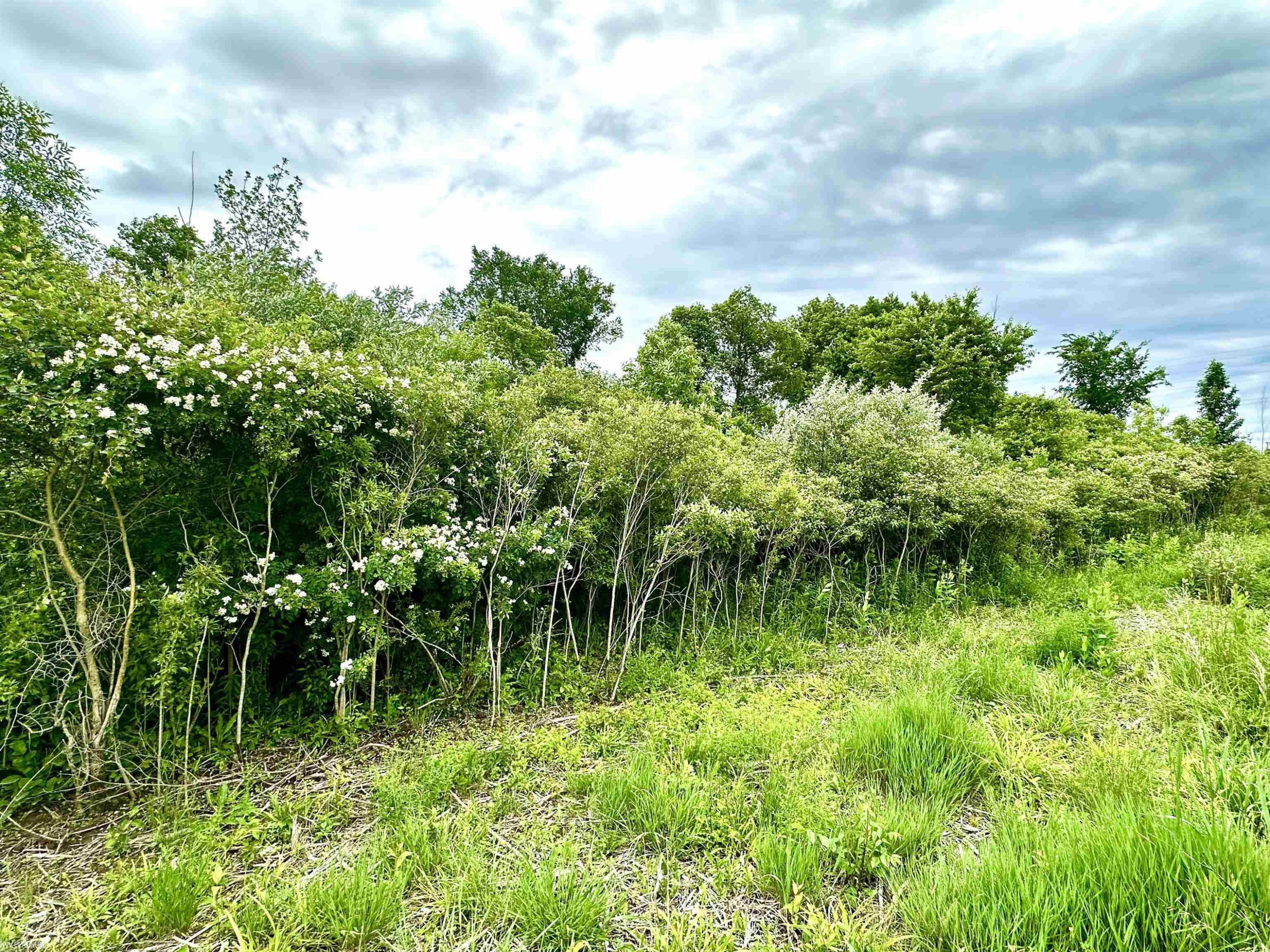 VL BRAIDWOOD PARCEL 4 Road, MI — Photo 2