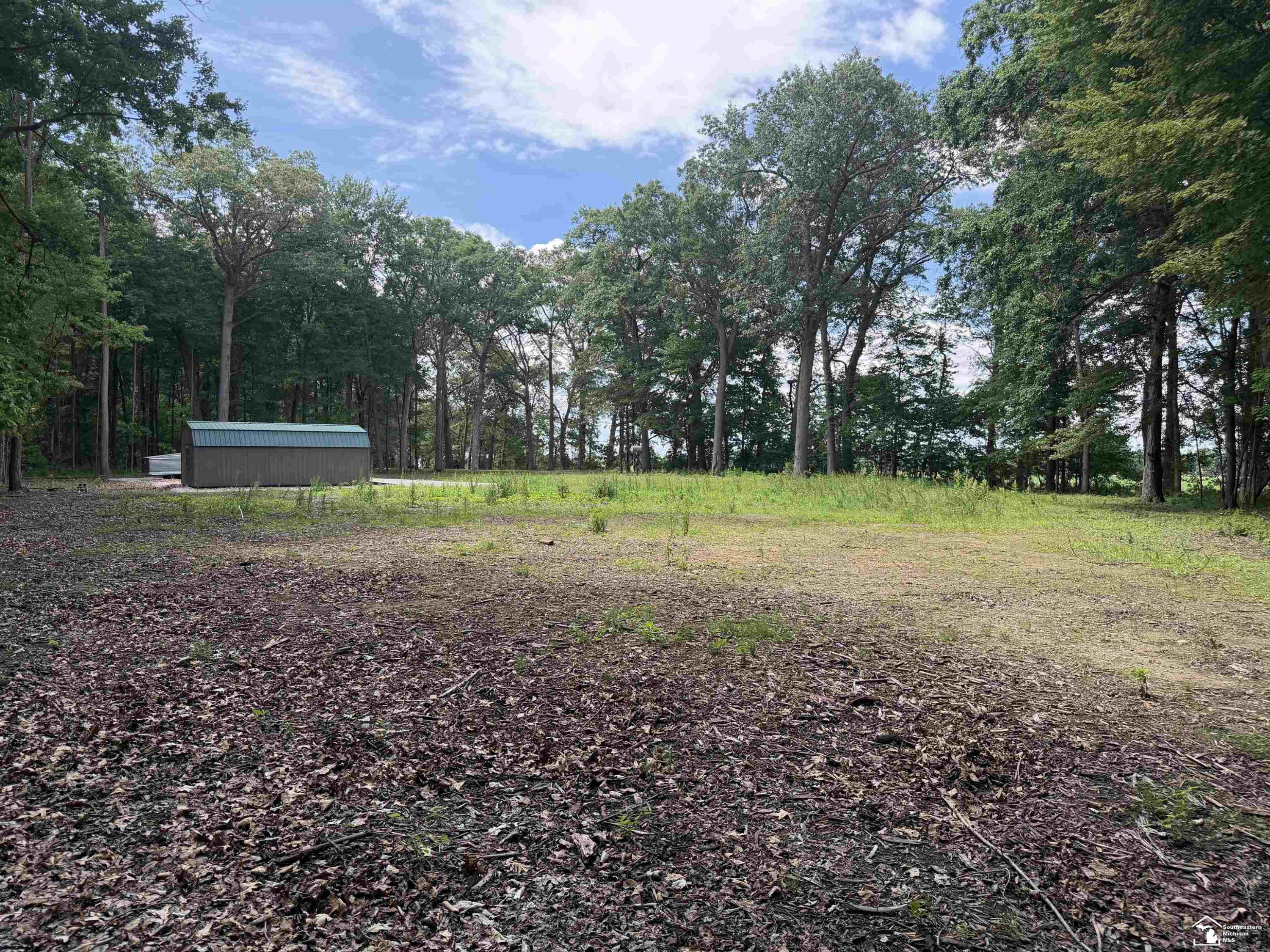 4798 W Temperance Road, MI 49267 — Photo 3