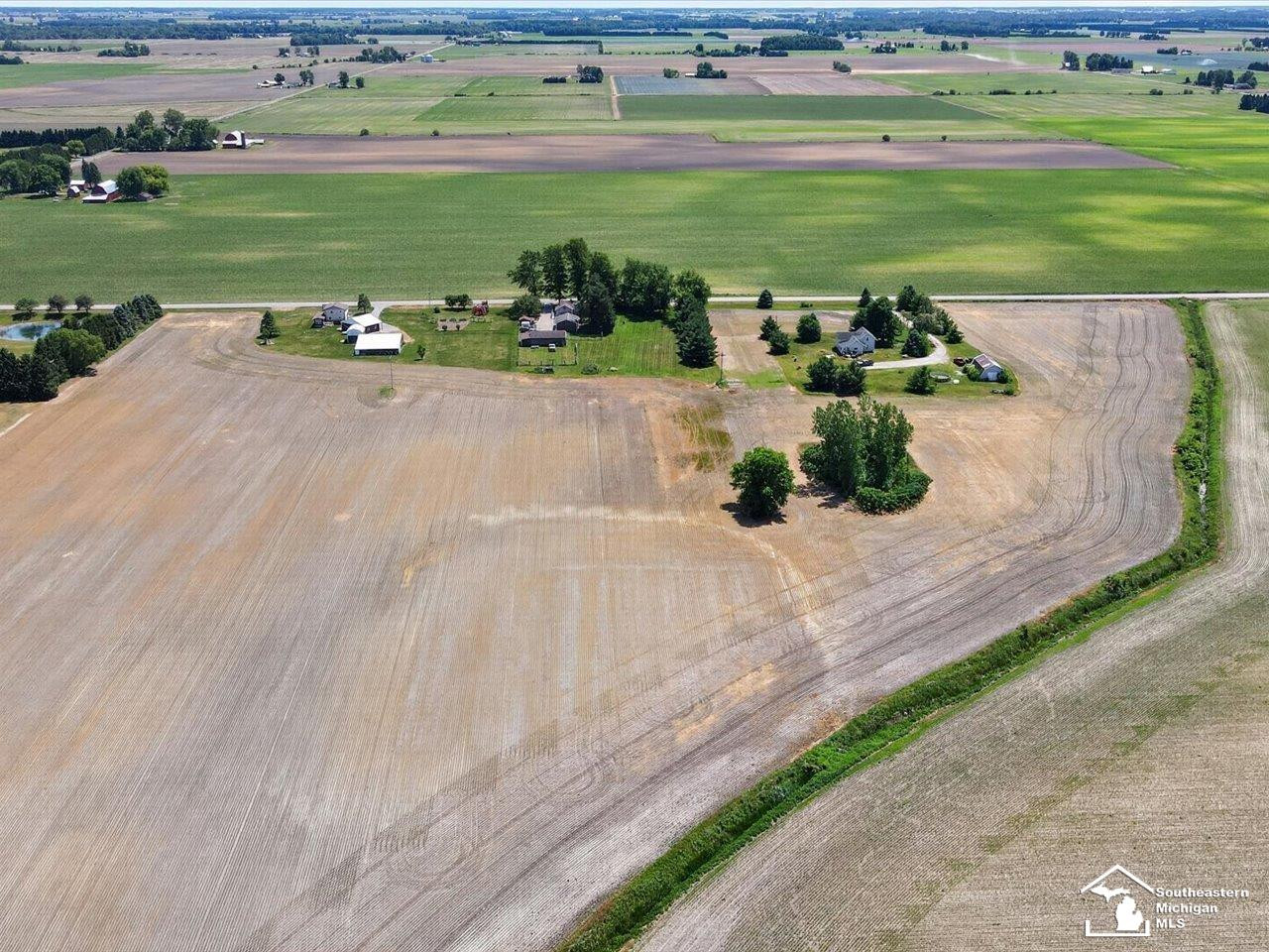 11952 Mc Mahon Road, Blissfield, MI 49228 — Photo 49