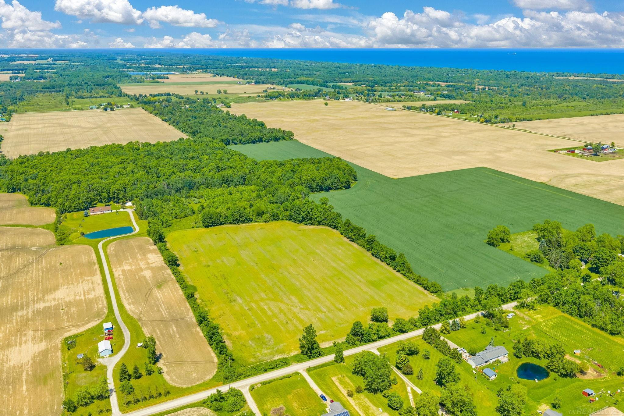 VL Wellman Line Road, Croswell, MI 48422 — Photo 5