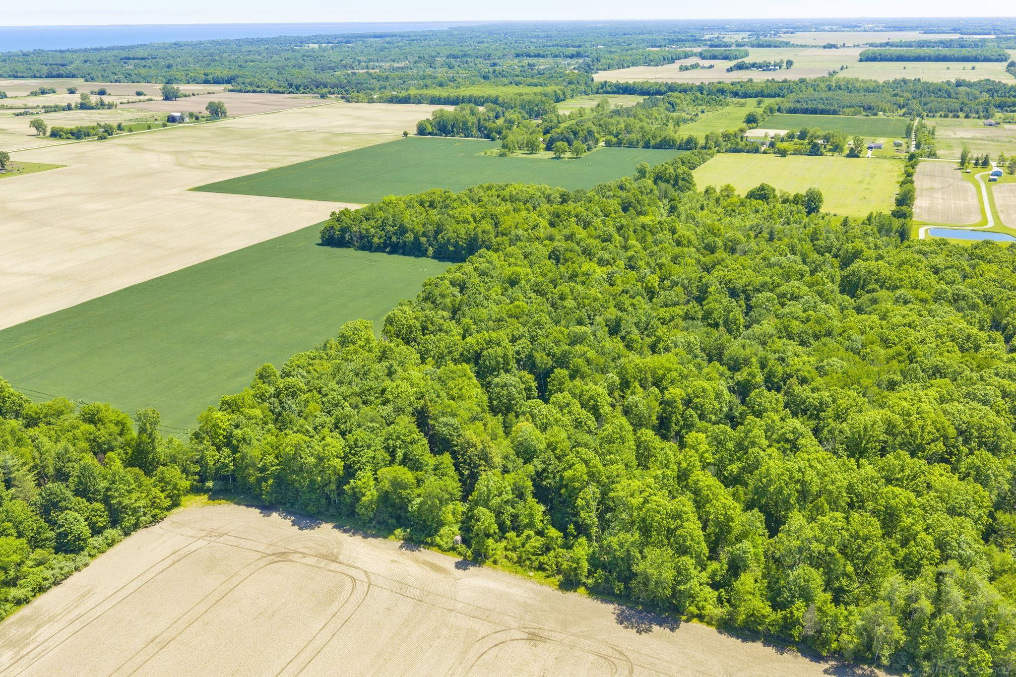 VL Wellman Line Road, Croswell, MI 48422 — Photo 9