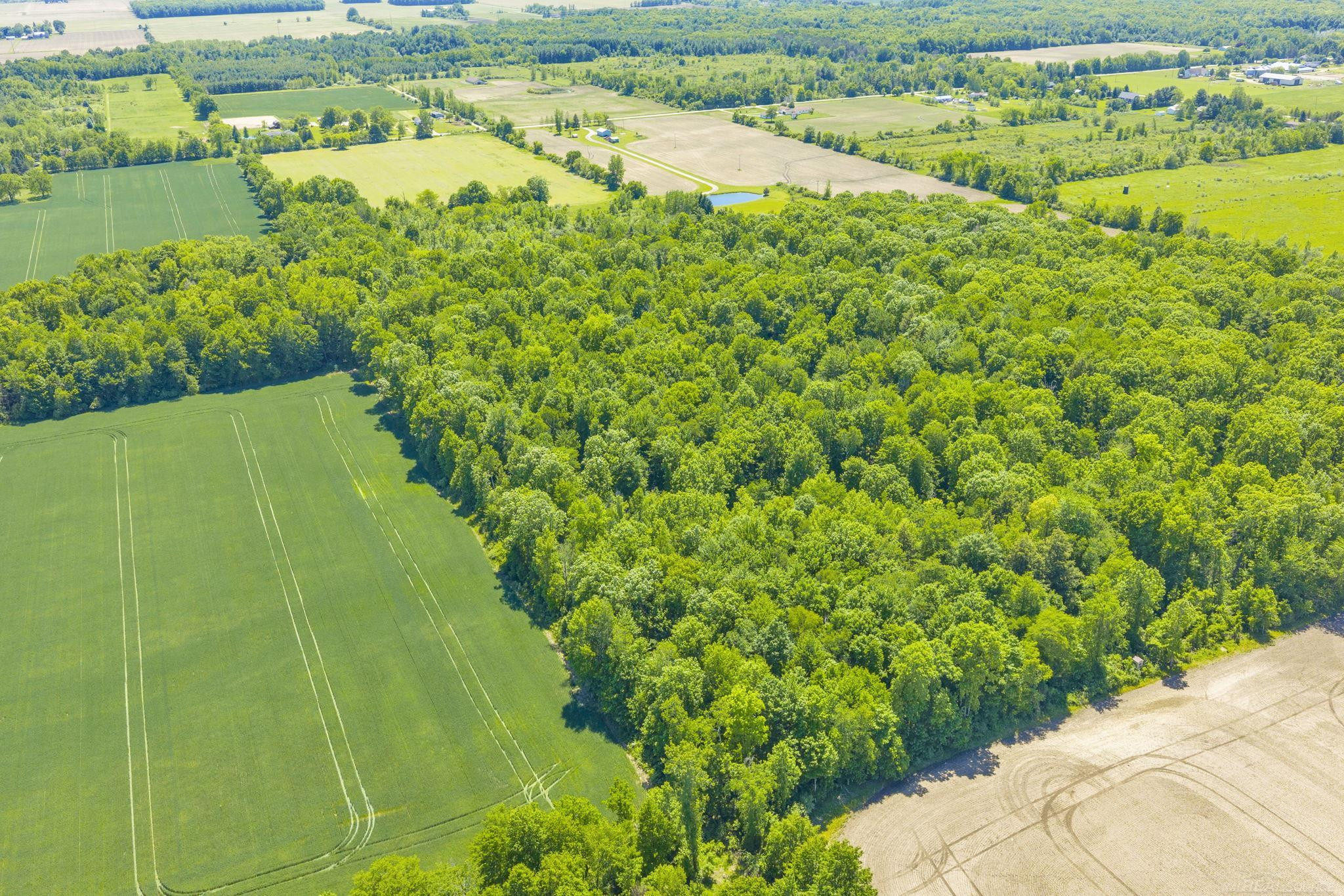 VL Wellman Line Road, Croswell, MI 48422 — Photo 10