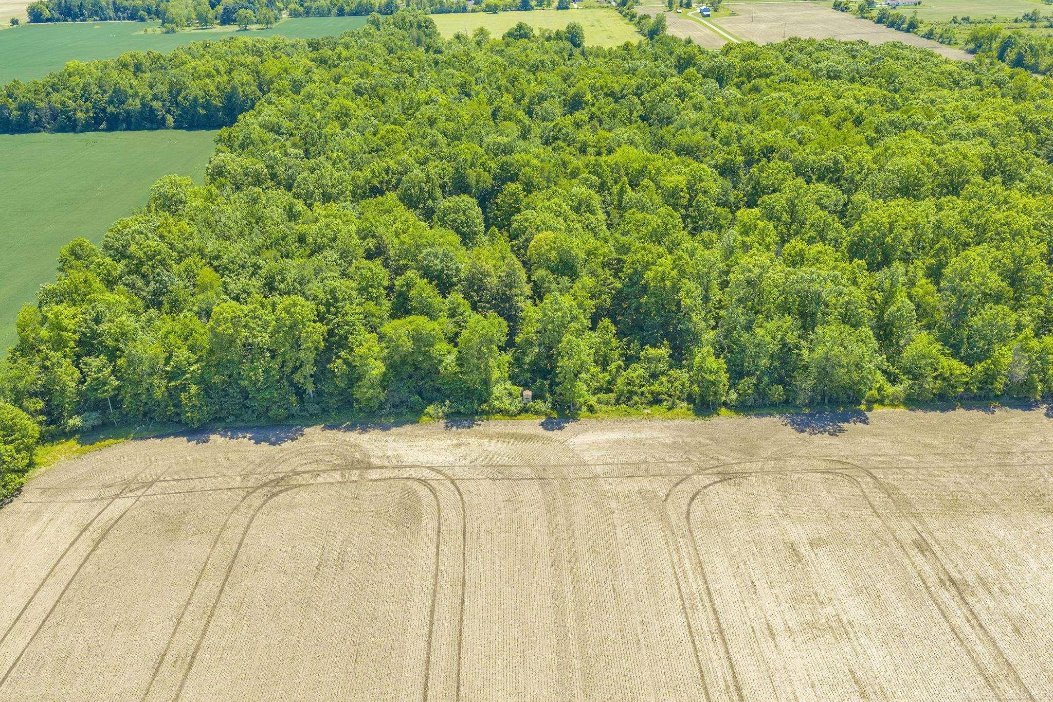 VL Wellman Line Road, Croswell, MI 48422 — Photo 11