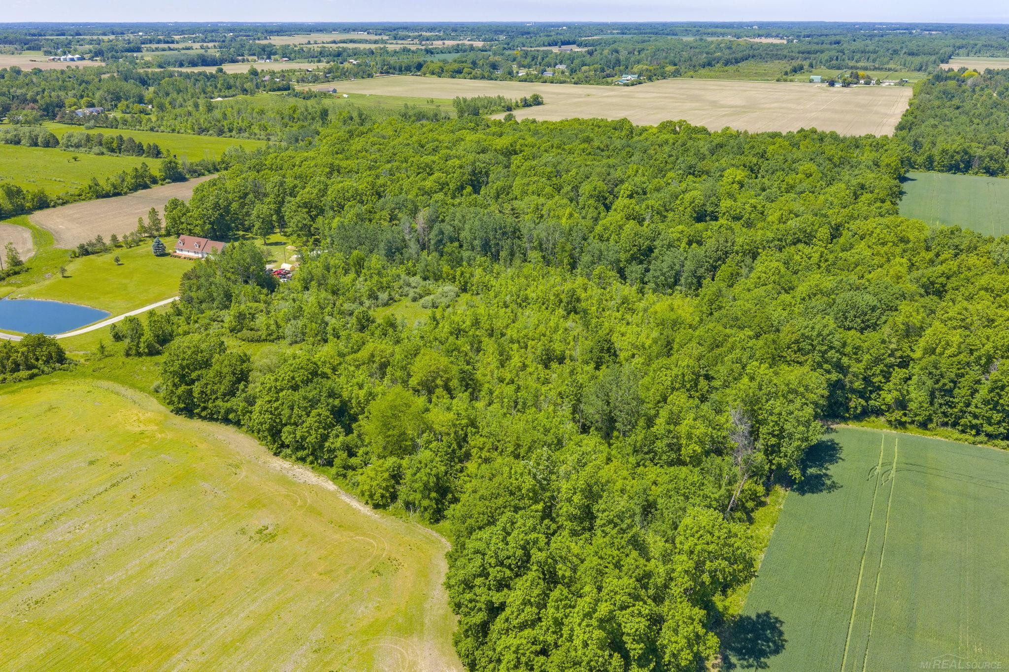 VL Wellman Line Road, Croswell, MI 48422 — Photo 12