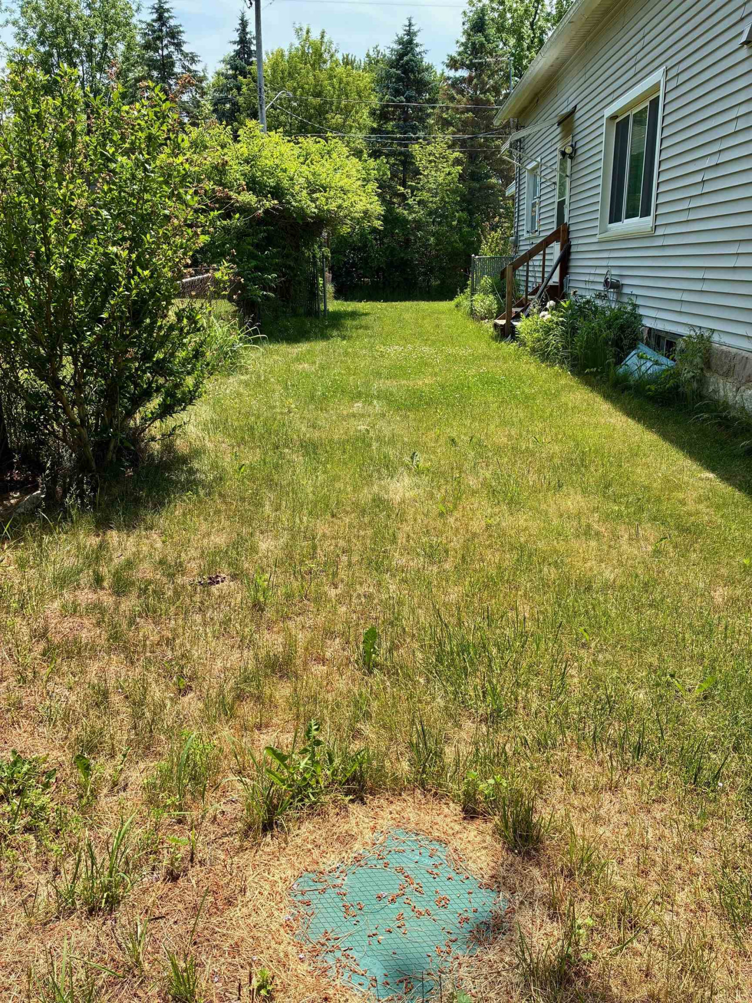 7100 Lynn Street, Perry, MI 48872 — Photo 38