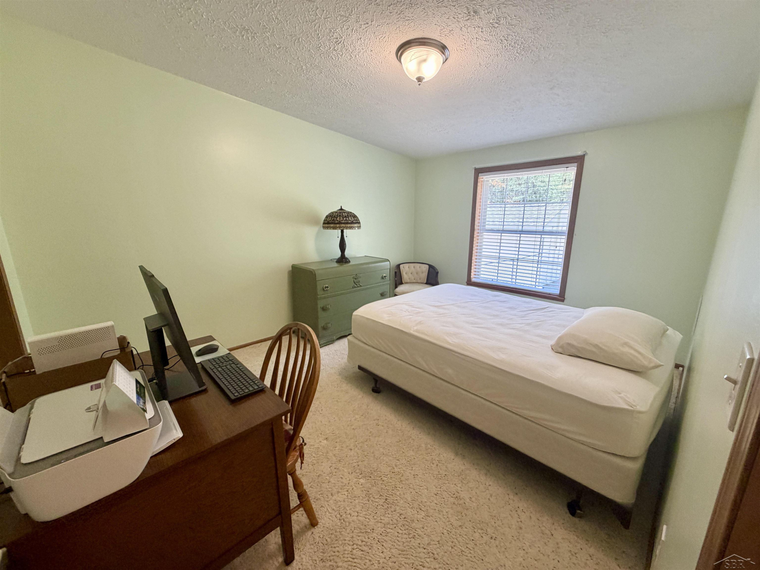 6113 Hillside Drive, Alger, MI 48610 — Photo 19