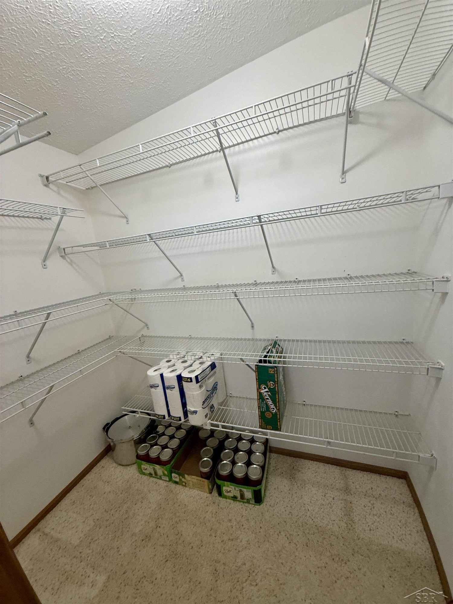 6113 Hillside Drive, Alger, MI 48610 — Photo 20