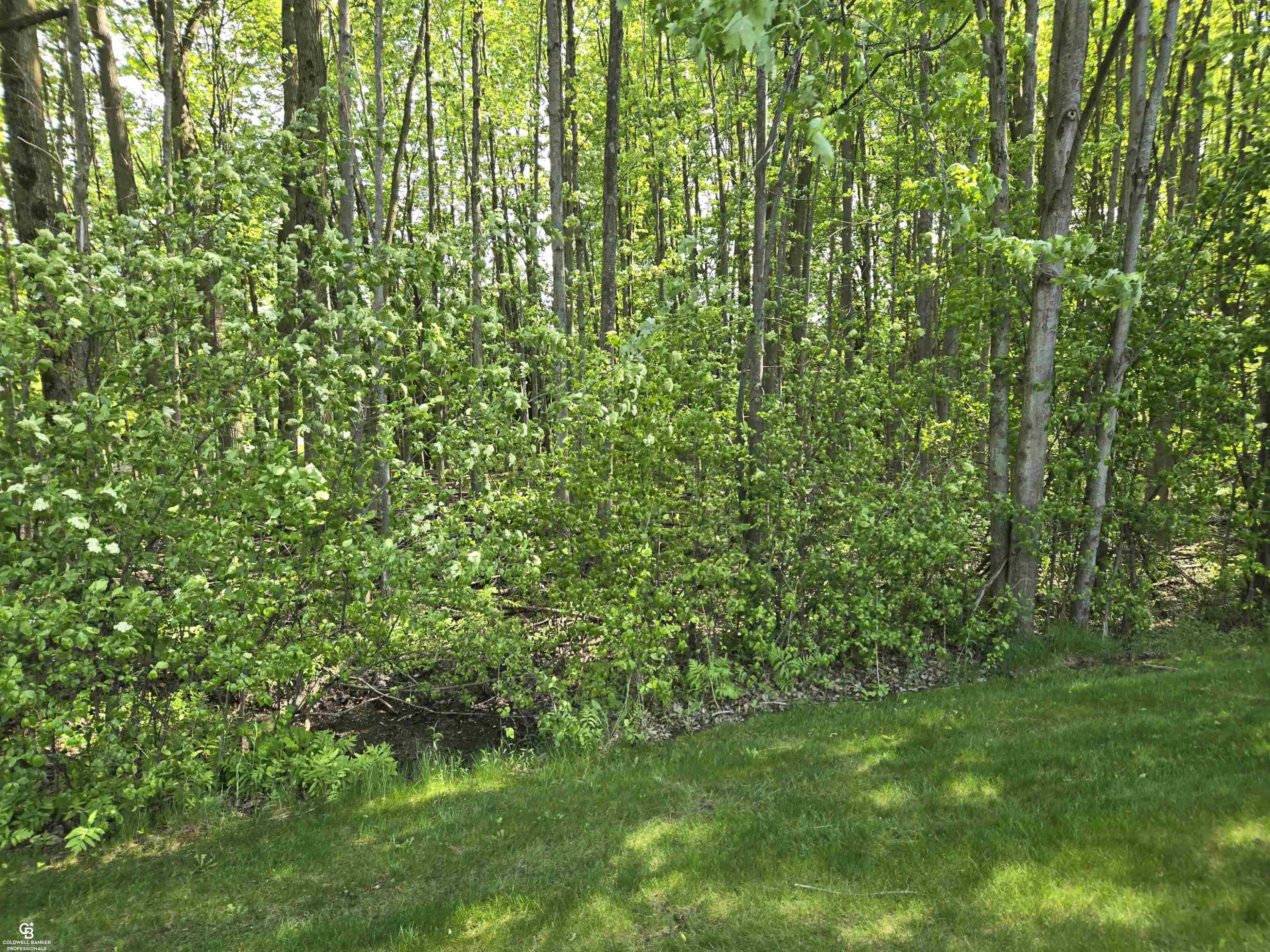 9660 Brandon Road, Avoca, MI 48006 — Photo 67