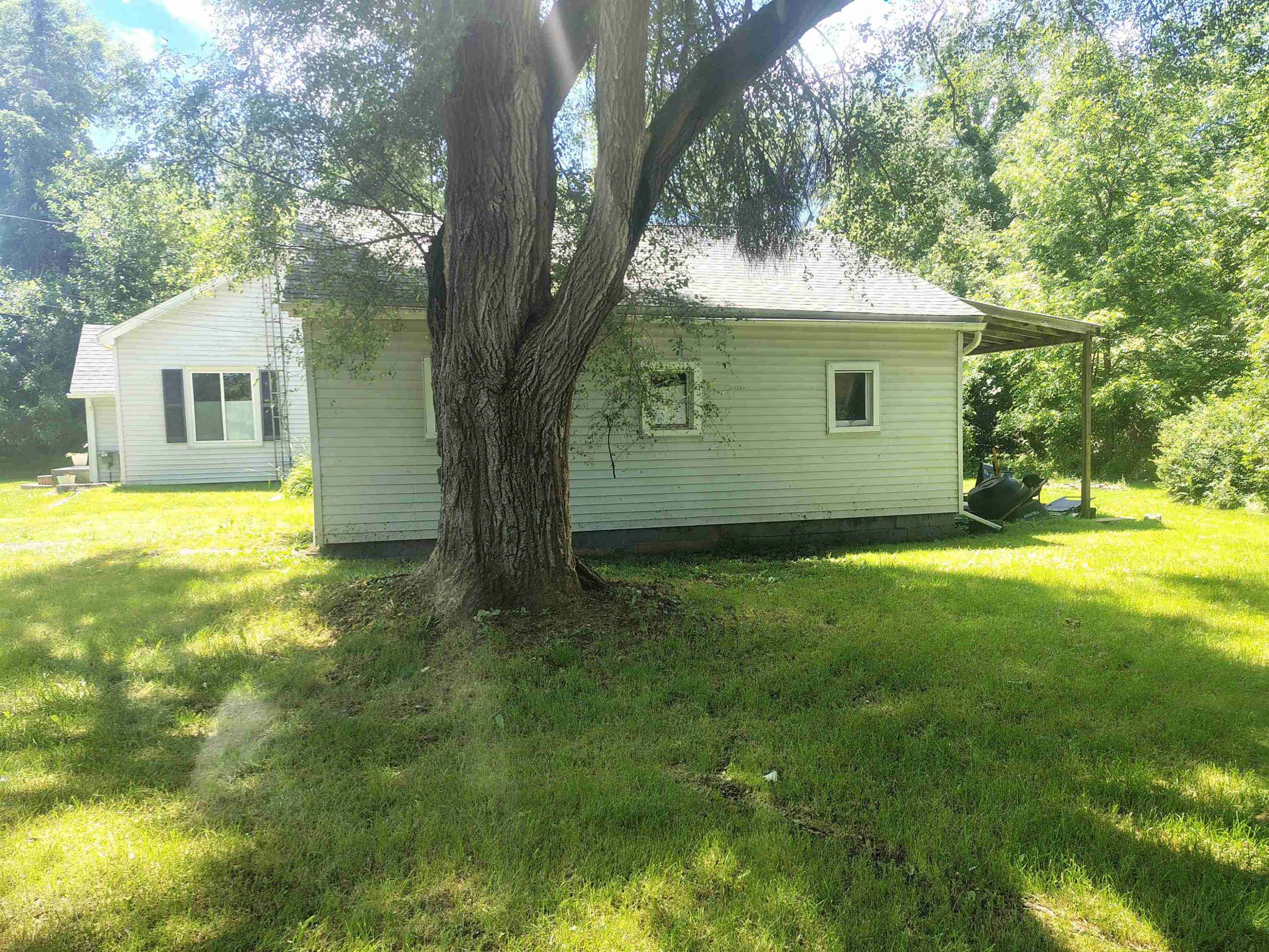 Photo 4