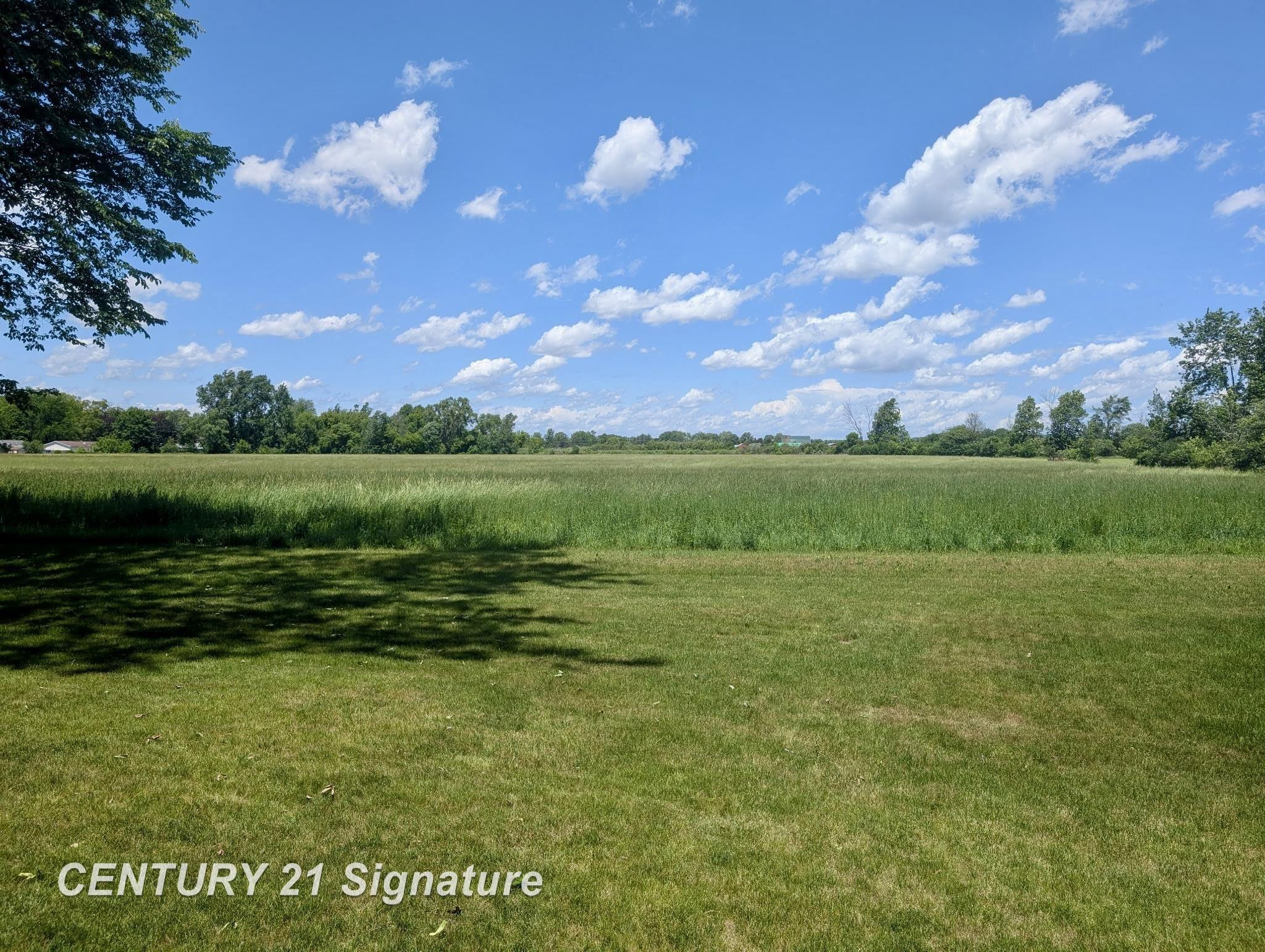 1249 E Oakdale Circle, Freeland, MI 48623 — Photo 17