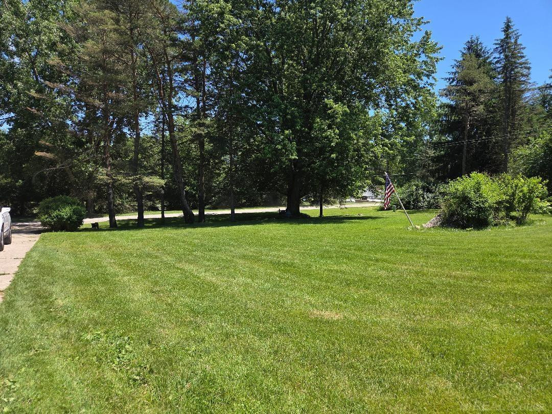 2960 Oakview Street, Dryden, MI 48428 — Photo 2