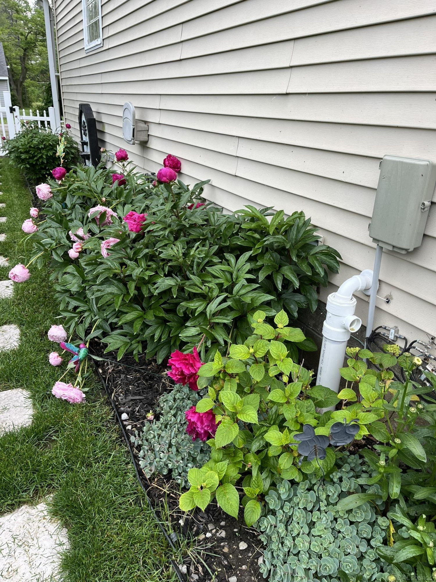 7333 Kilkare Street, Lexington, MI 48450 — Photo 5