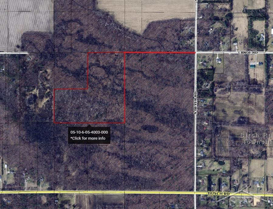 0 Lange Road, Bridgeport, MI 48722