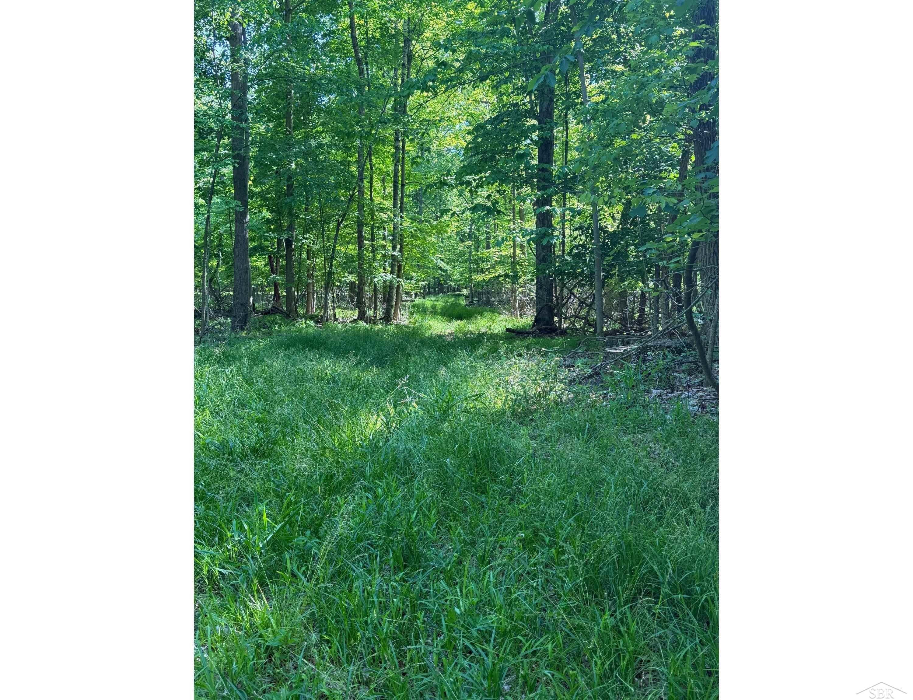0 Lange Road, Bridgeport, MI 48722 — Photo 2