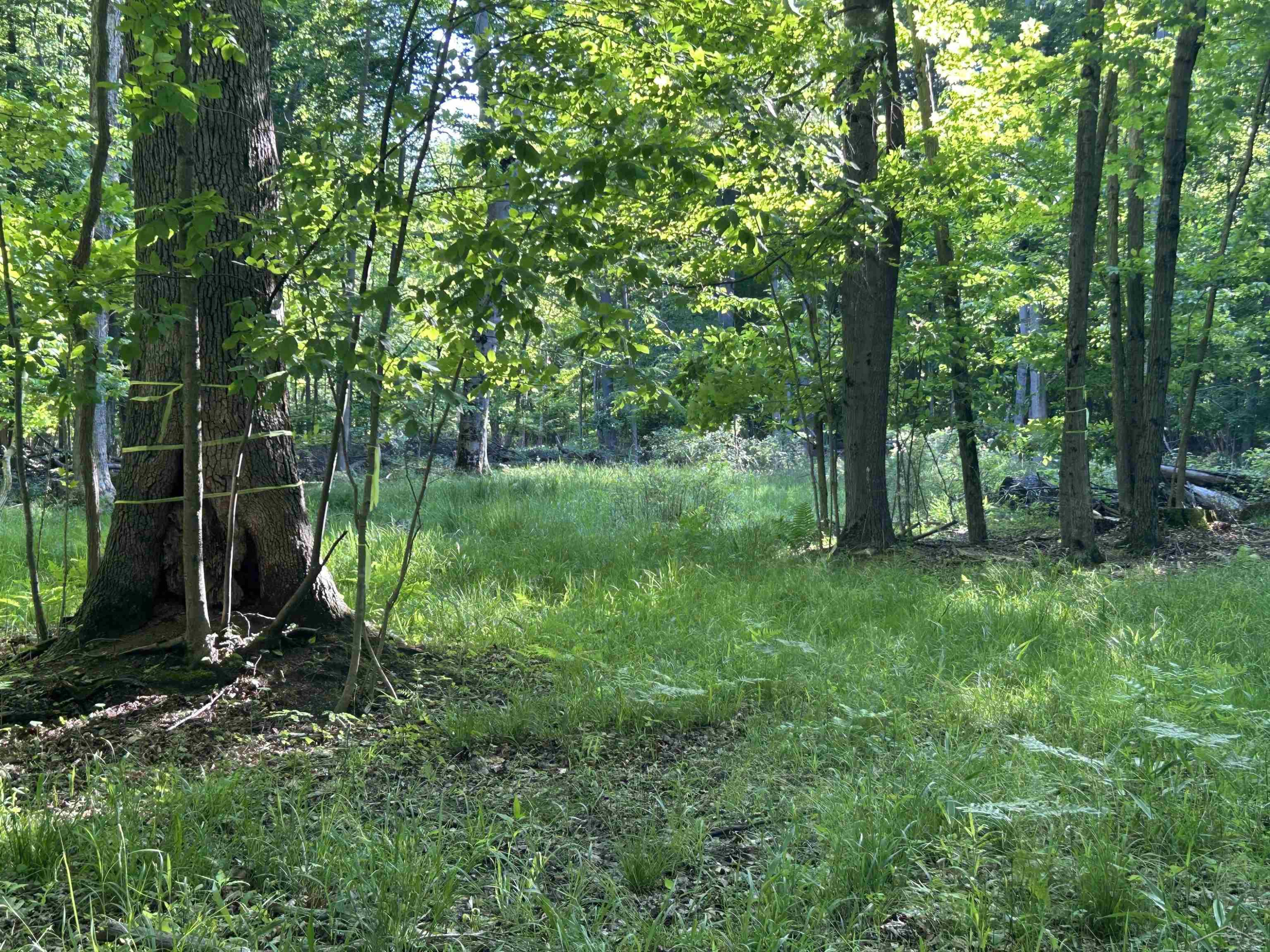 0 Lange Road, Bridgeport, MI 48722 — Photo 10
