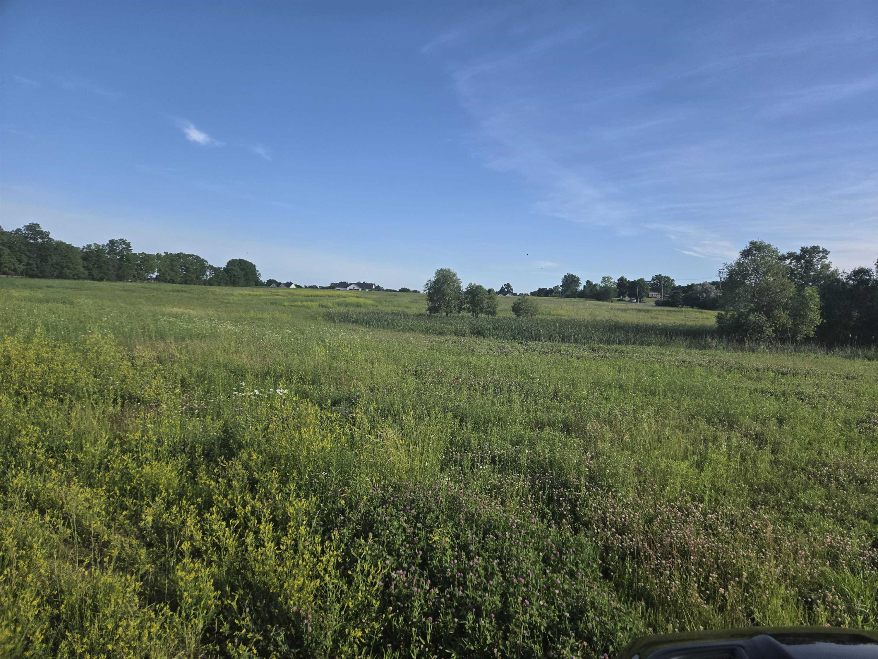 13015 Linden Road, Linden, MI 48451 — Photo 4