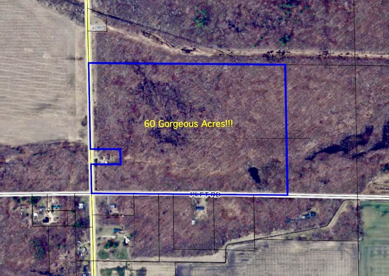 Chapin V/L Road, Elsie, MI 48831 — front exterior