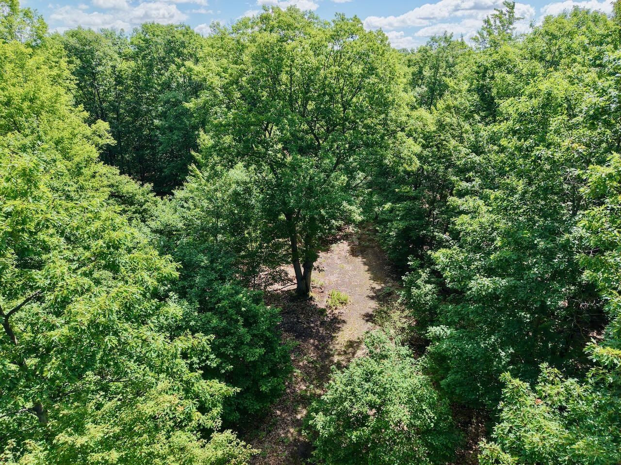 Chapin V/L Road, Elsie, MI 48831 — Photo 4
