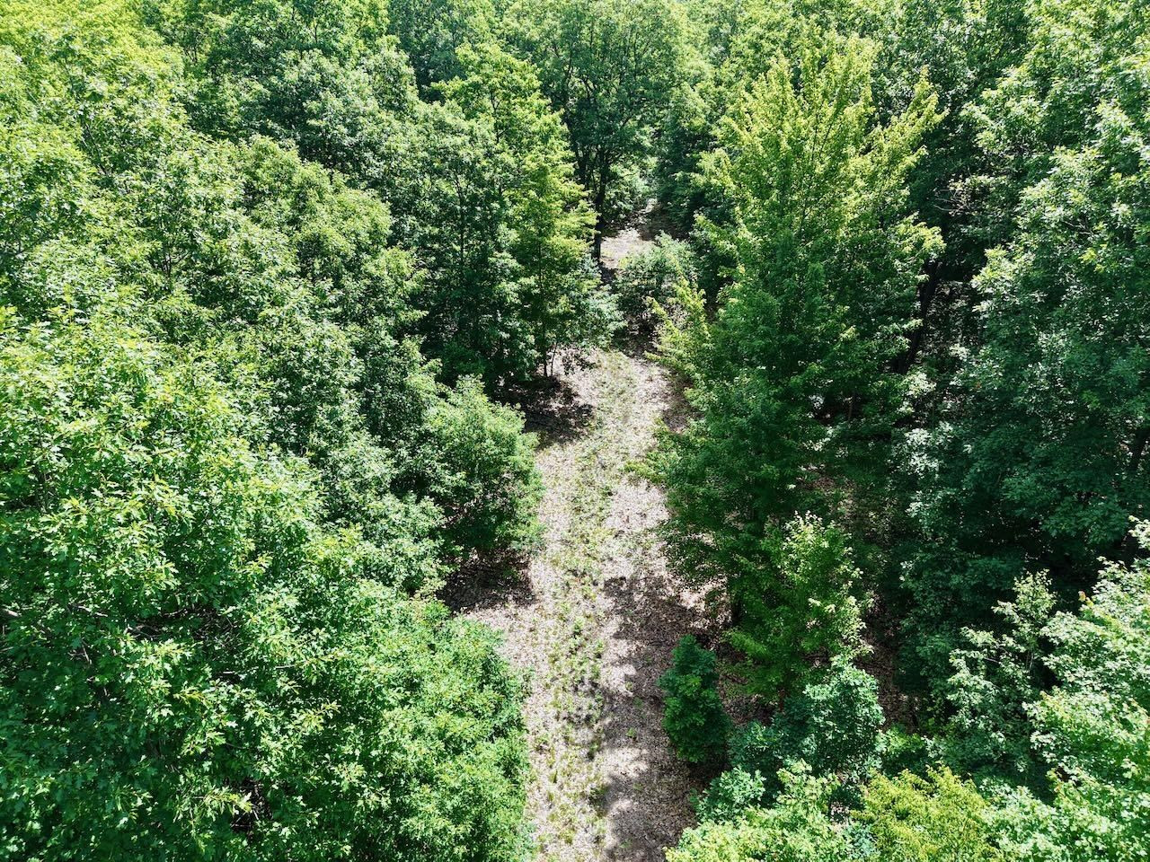 Chapin V/L Road, Elsie, MI 48831 — Photo 5