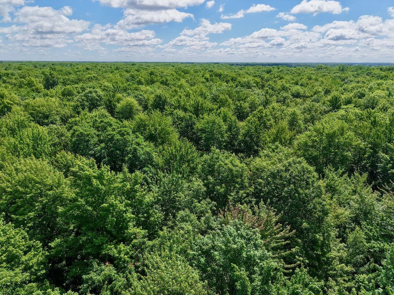 Chapin V/L Road, Elsie, MI 48831 — Photo 25