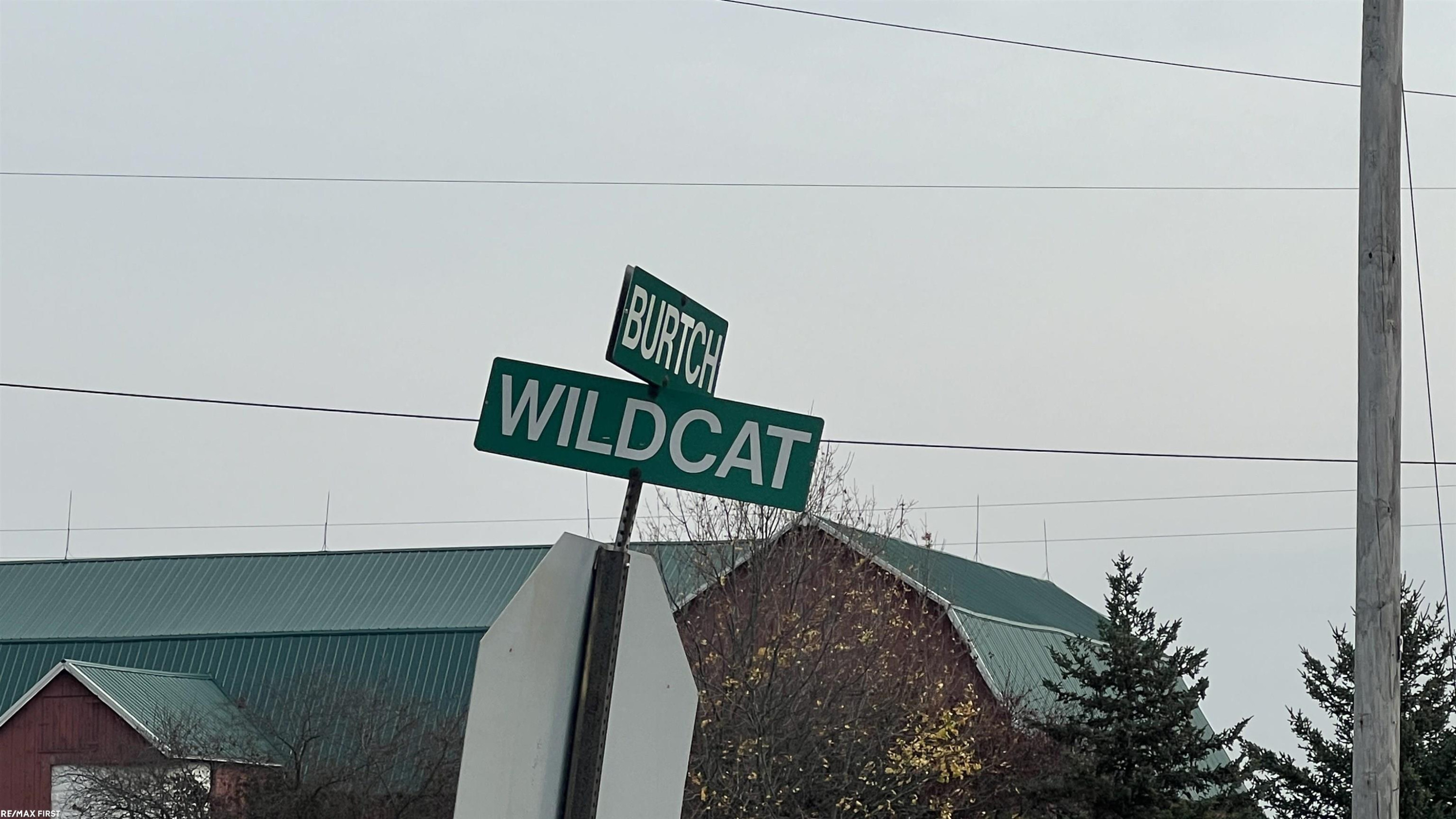 7255 Wildcat Road, Grant, MI 48032 — Photo 2