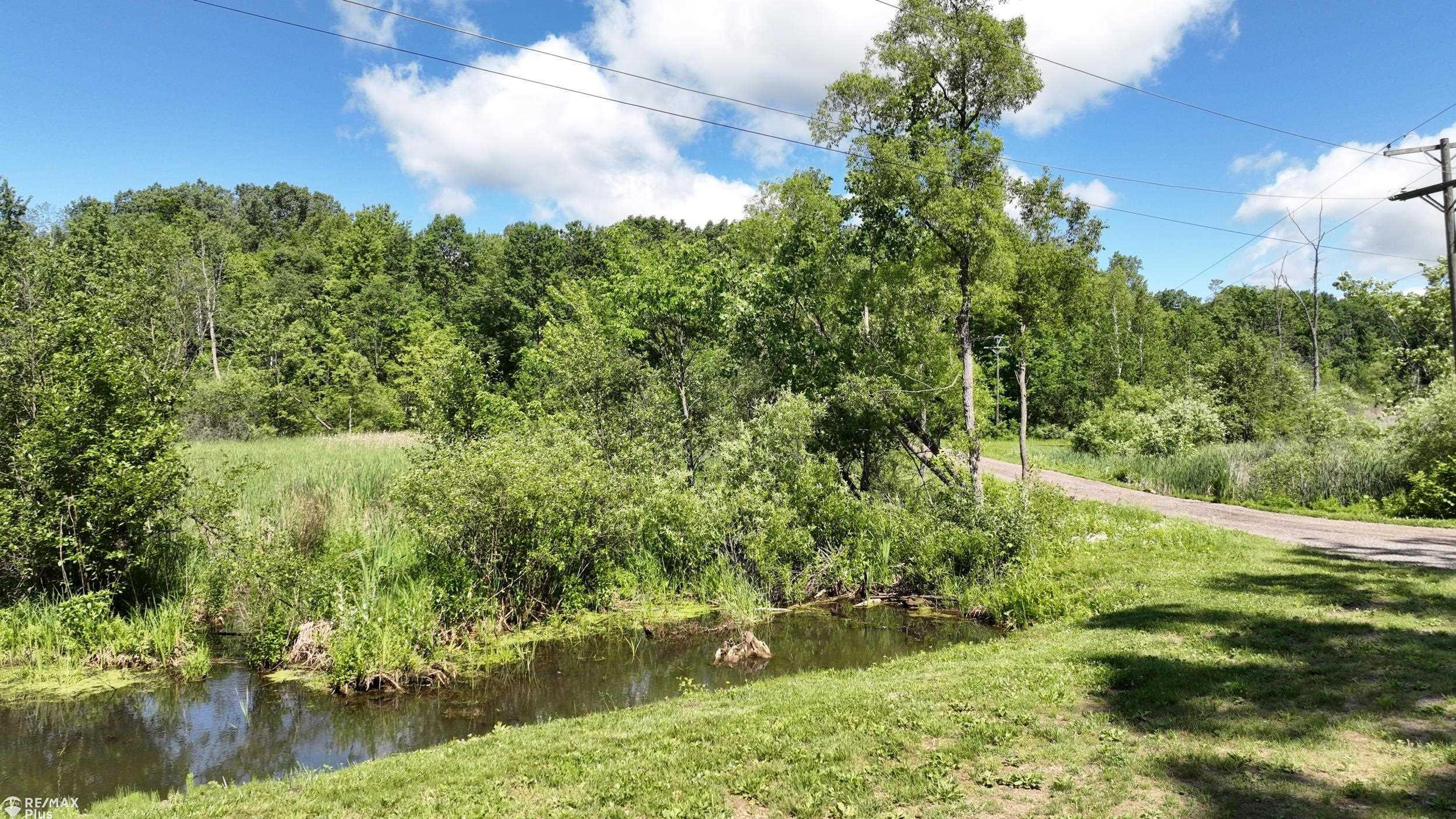 381 Miller Lake Road, Columbiaville, MI 48421 — Photo 91
