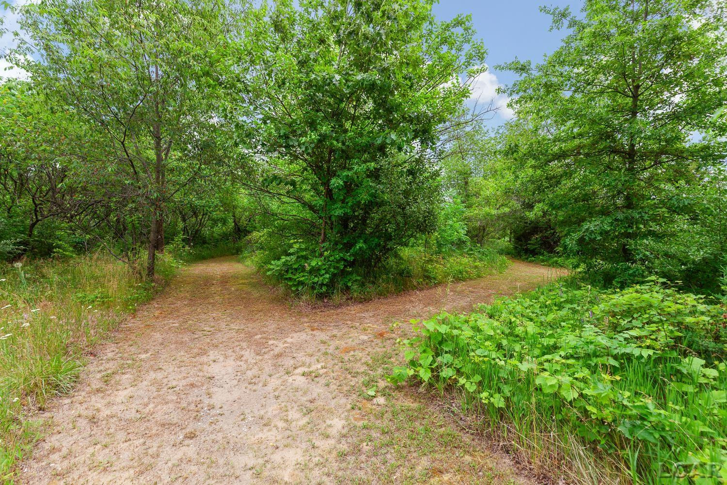 5340 Sutton Road, Britton, MI 49229 — Photo 47