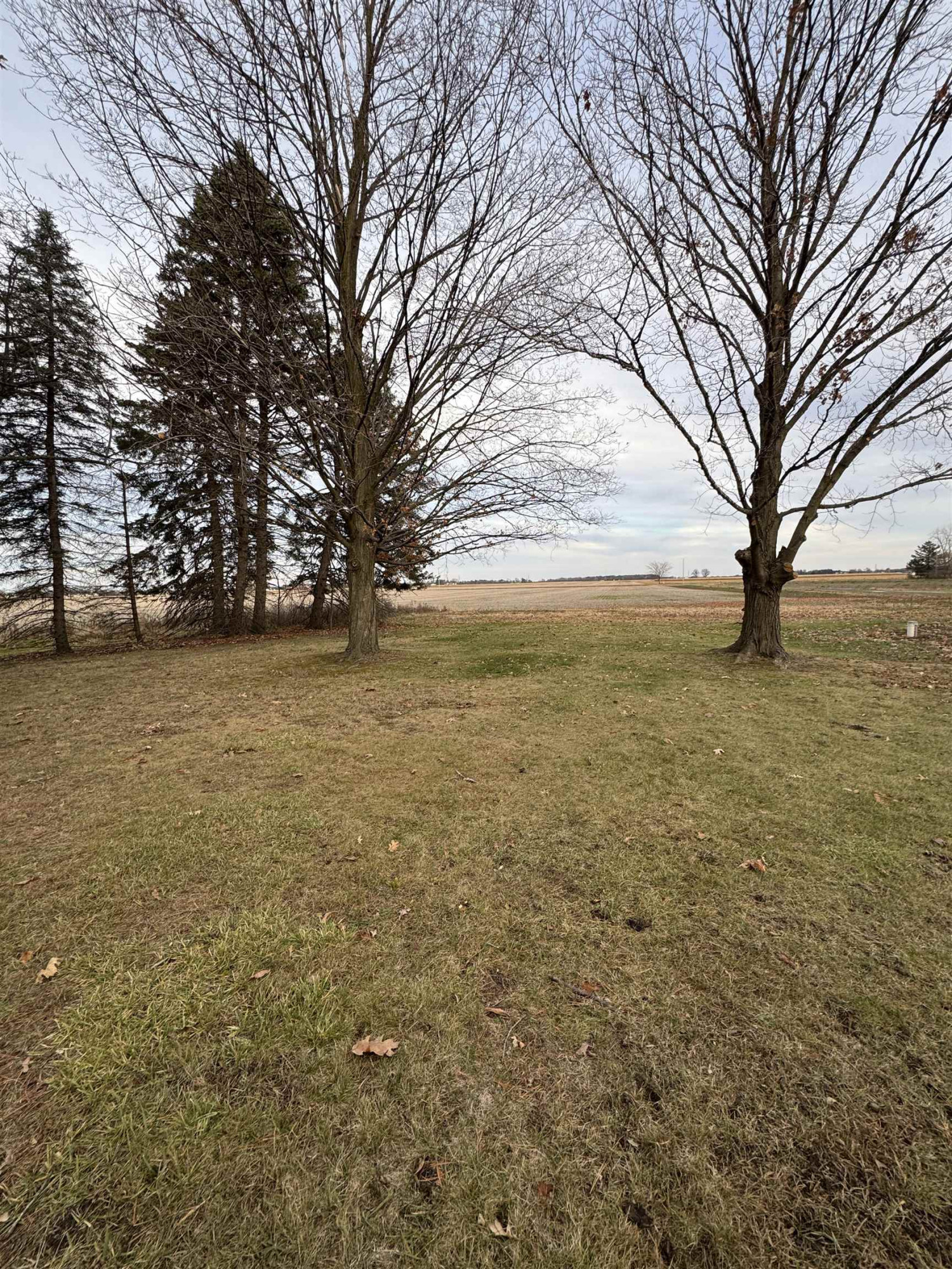 4501 N New Lothrop Road, Corunna, MI 48817 — Photo 8