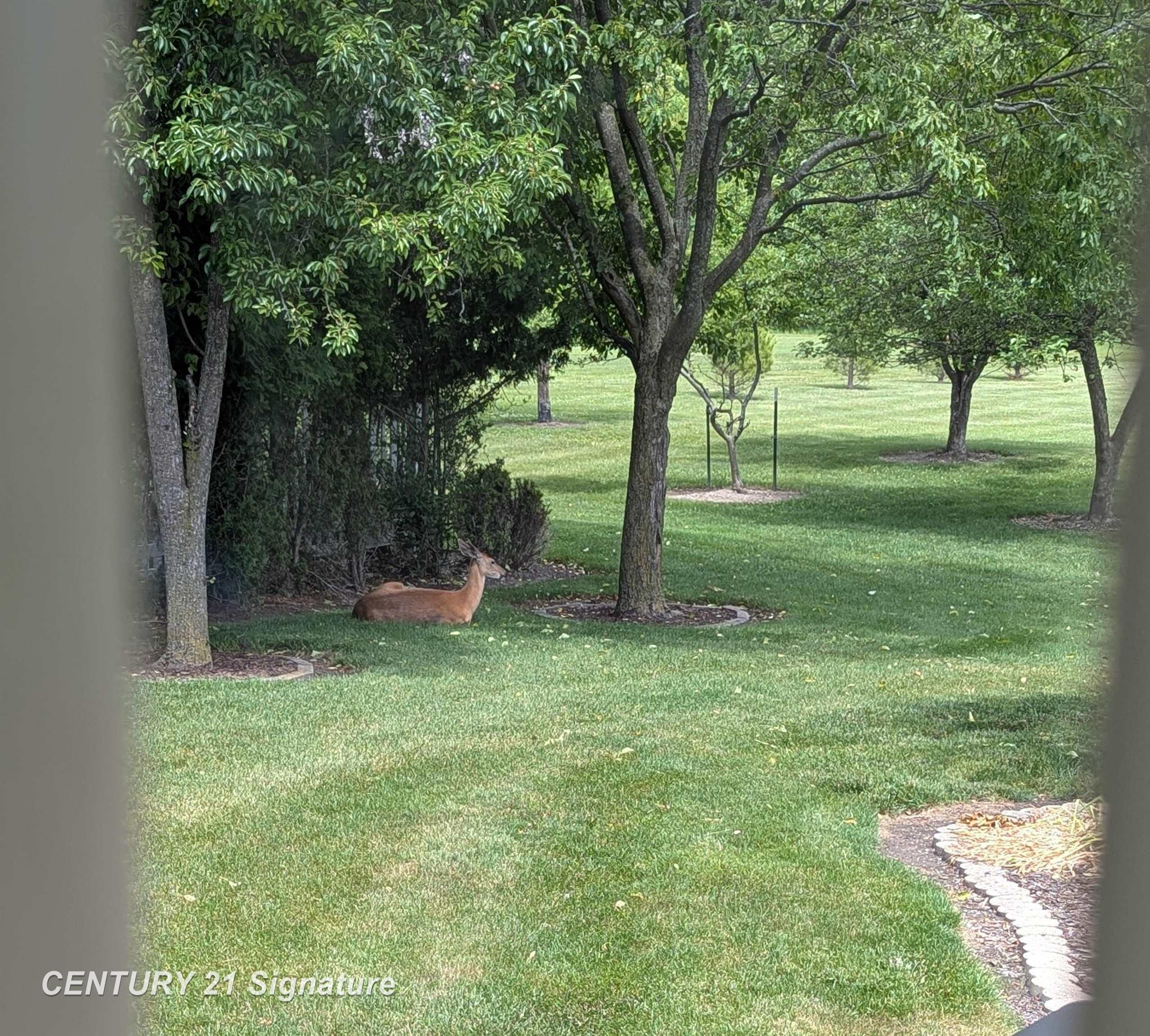 804 Frost Drive, Bay City, MI 48706 — Photo 5