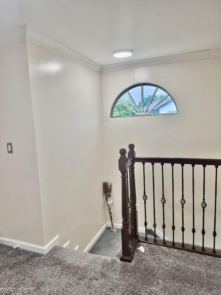 449 Chalmers Street, Detroit, MI 48215 — Photo 16