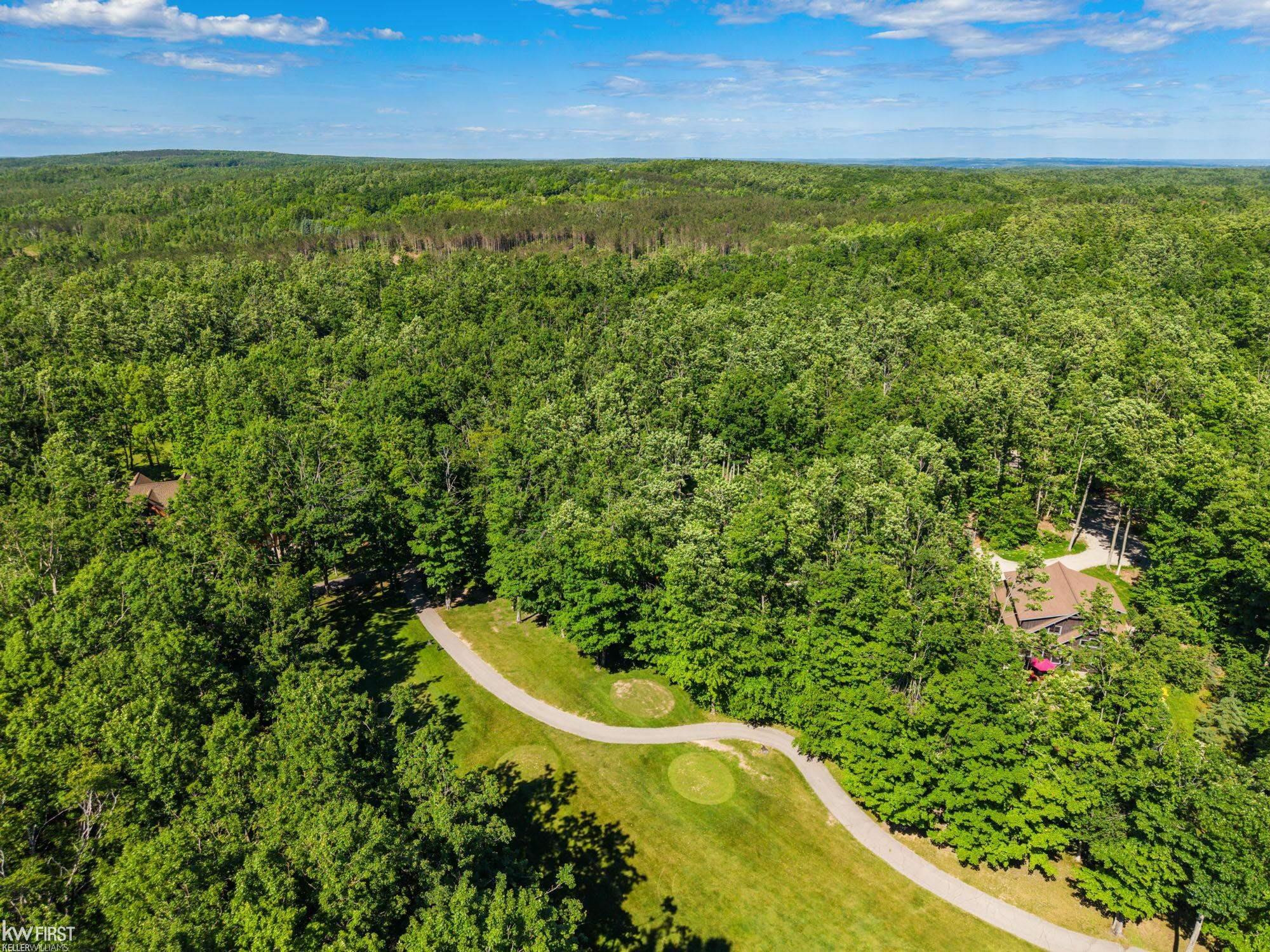 1580 Blackberry Trail, Harbor Springs, MI 49740 — Photo 72