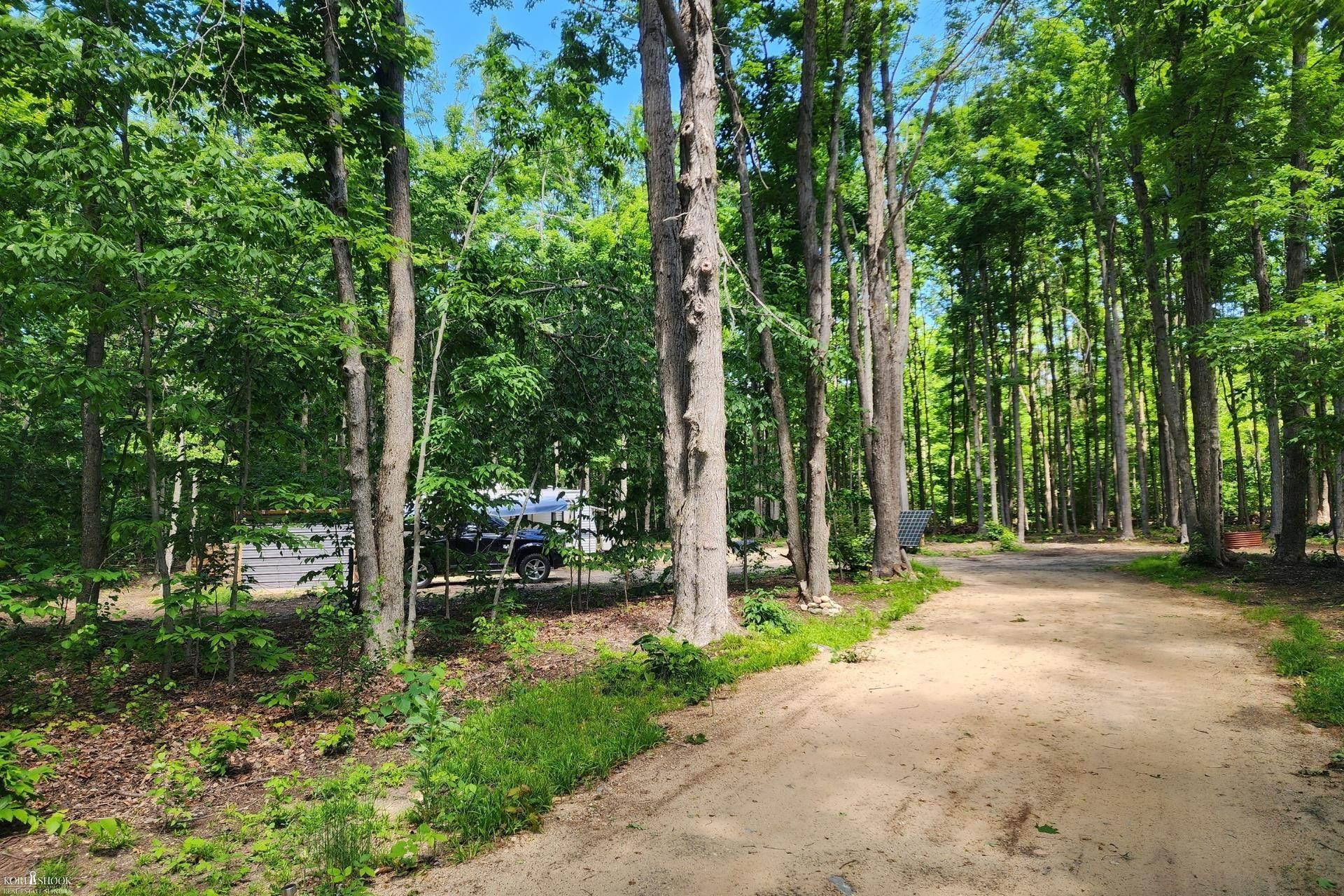 9955 Greenway Drive, Frederic, MI 49733 — Photo 2