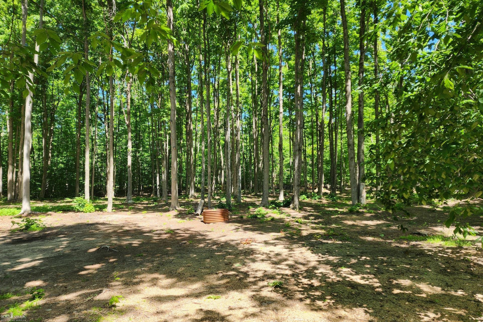 9955 Greenway Drive, Frederic, MI 49733 — Photo 3