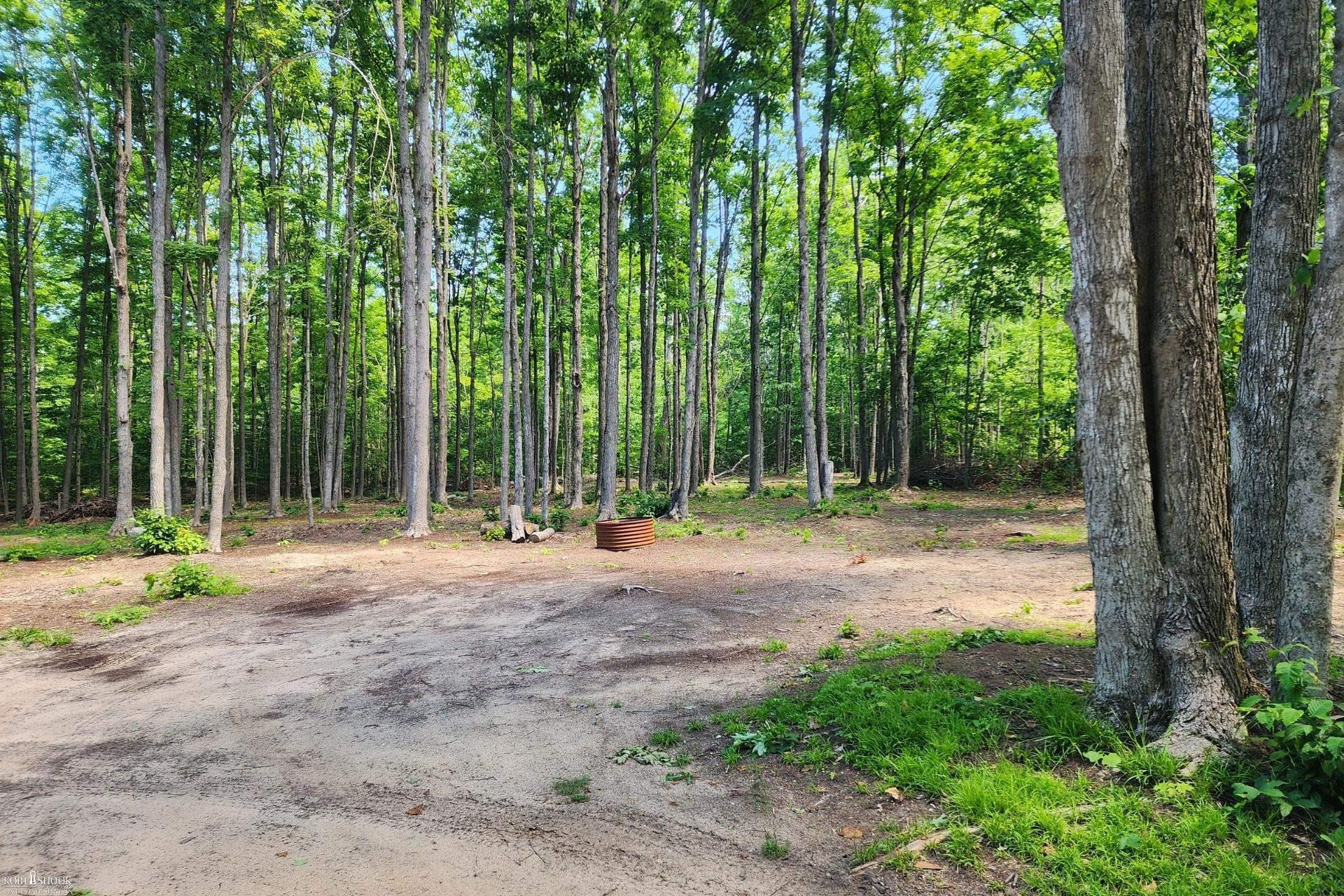 9955 Greenway Drive, Frederic, MI 49733 — Photo 4