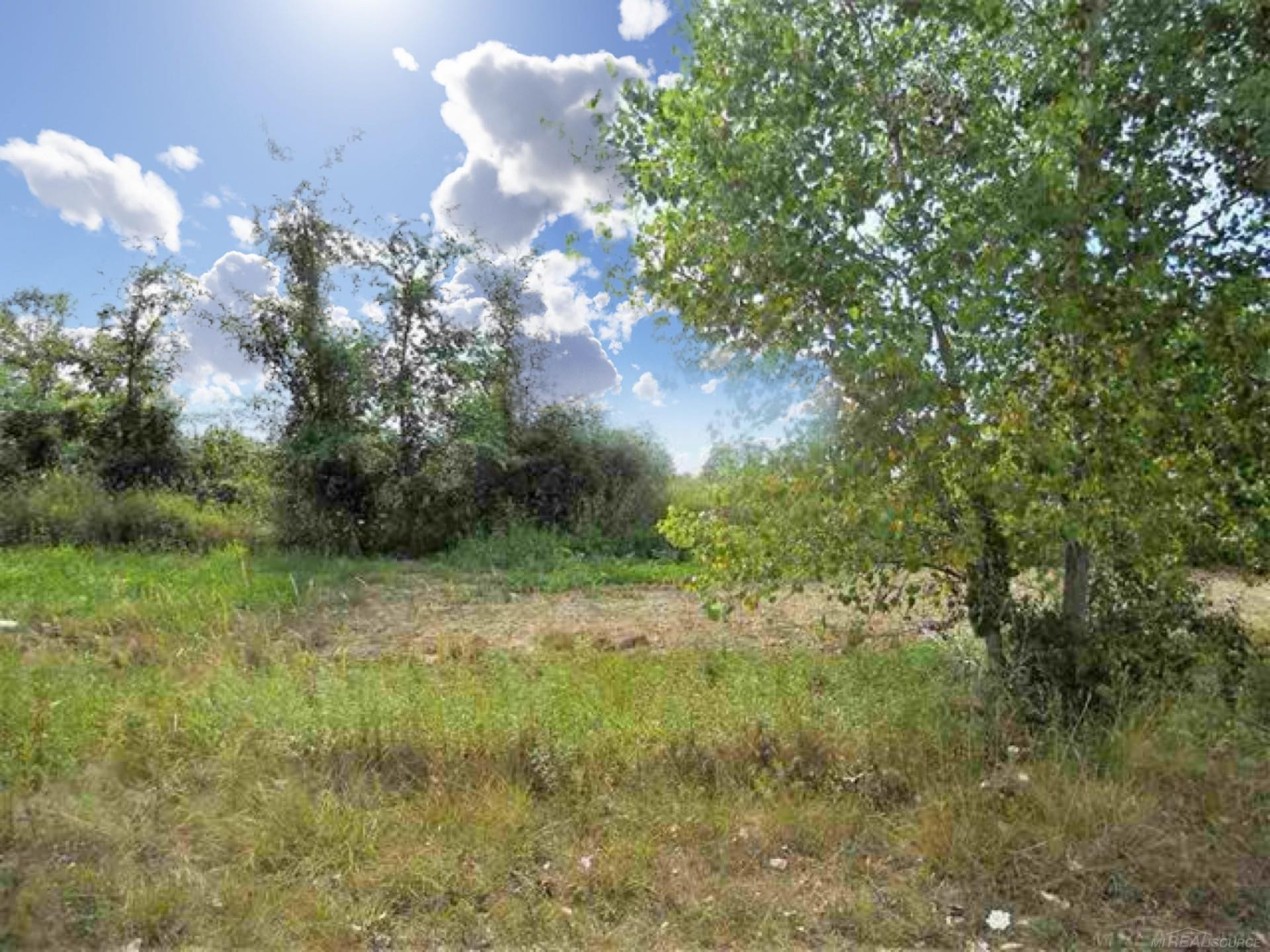 Parcel 3 Windmill Lane, Imlay City, MI 48444 — Photo 2