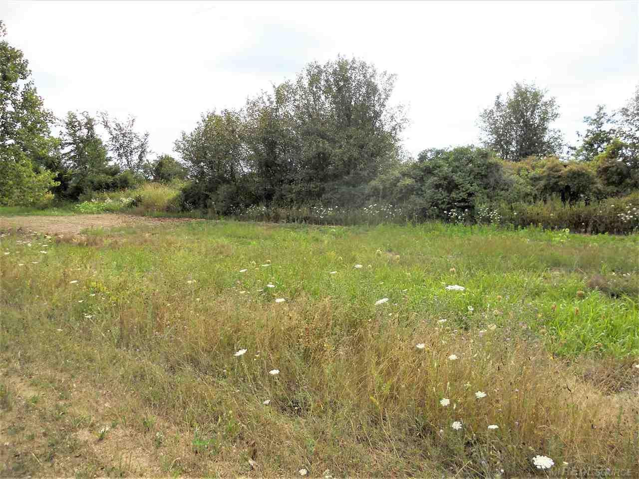 Parcel 3 Windmill Lane, Imlay City, MI 48444 — Photo 3