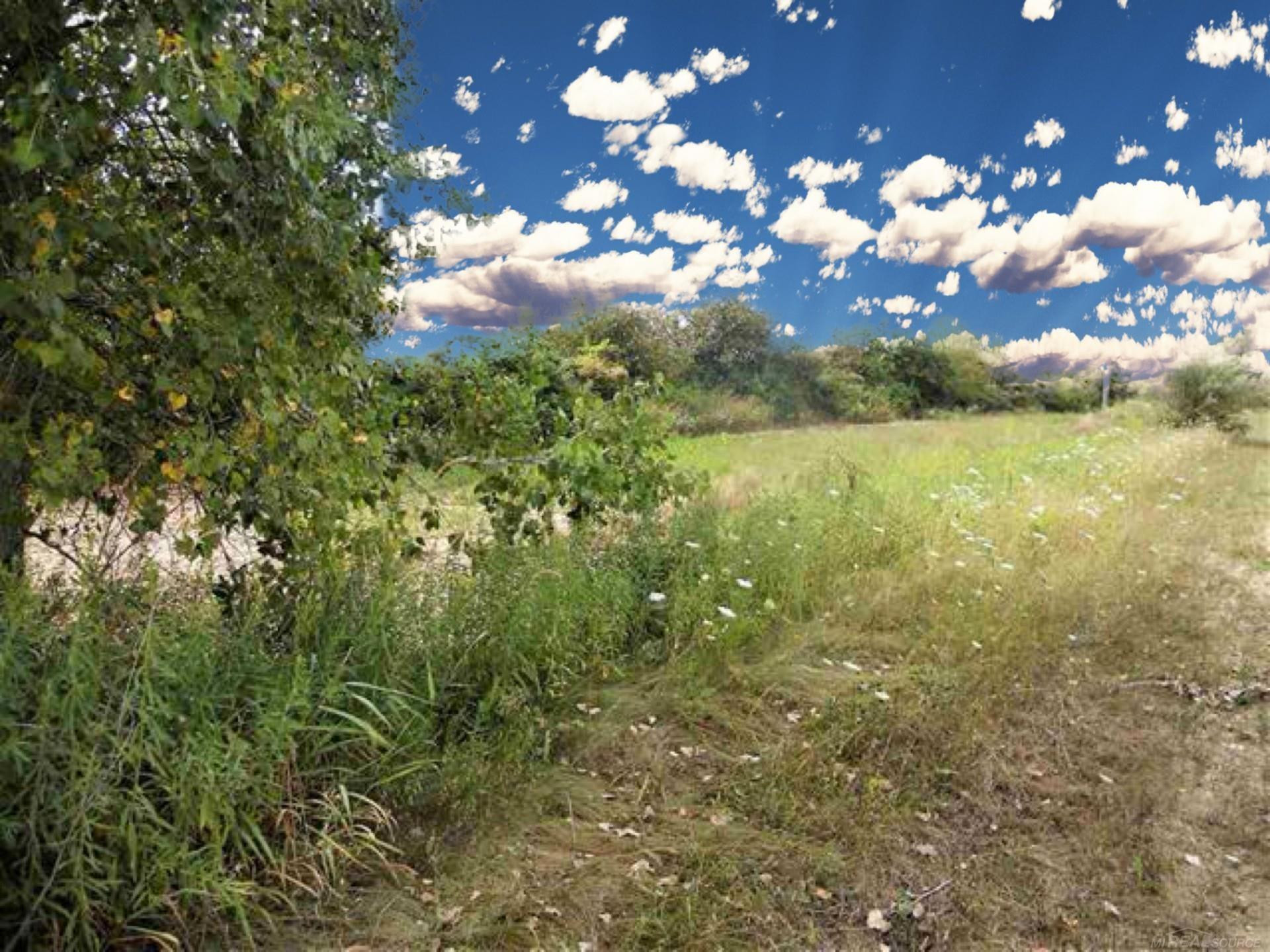 Parcel 3 Windmill Lane, Imlay City, MI 48444 — Photo 4