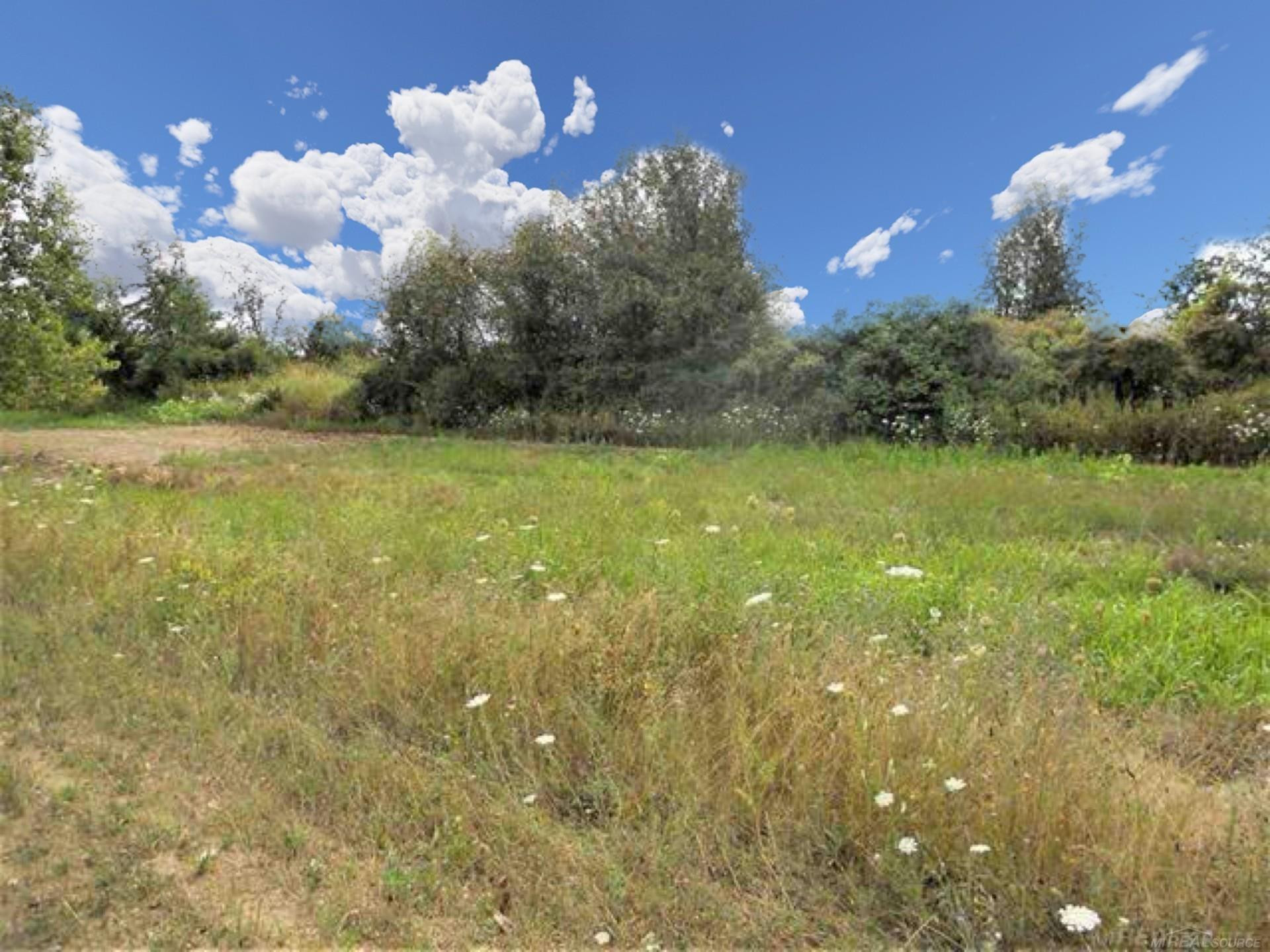 Parcel 3 Windmill Lane, Imlay City, MI 48444 — Photo 5