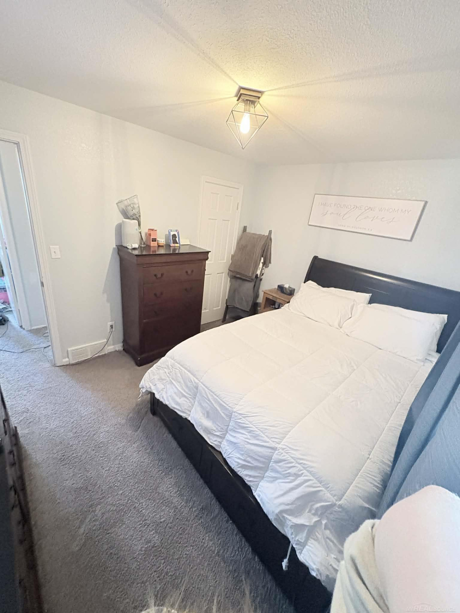 8181 Bray Road, Vassar, MI — Photo 29