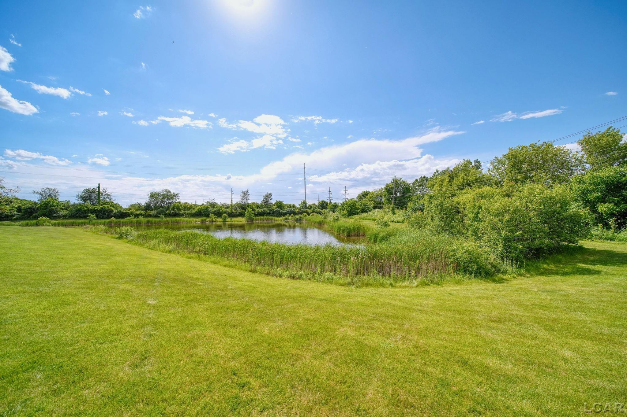 1241 Addington Lane, Ann Arbor, MI 48108 — Photo 41