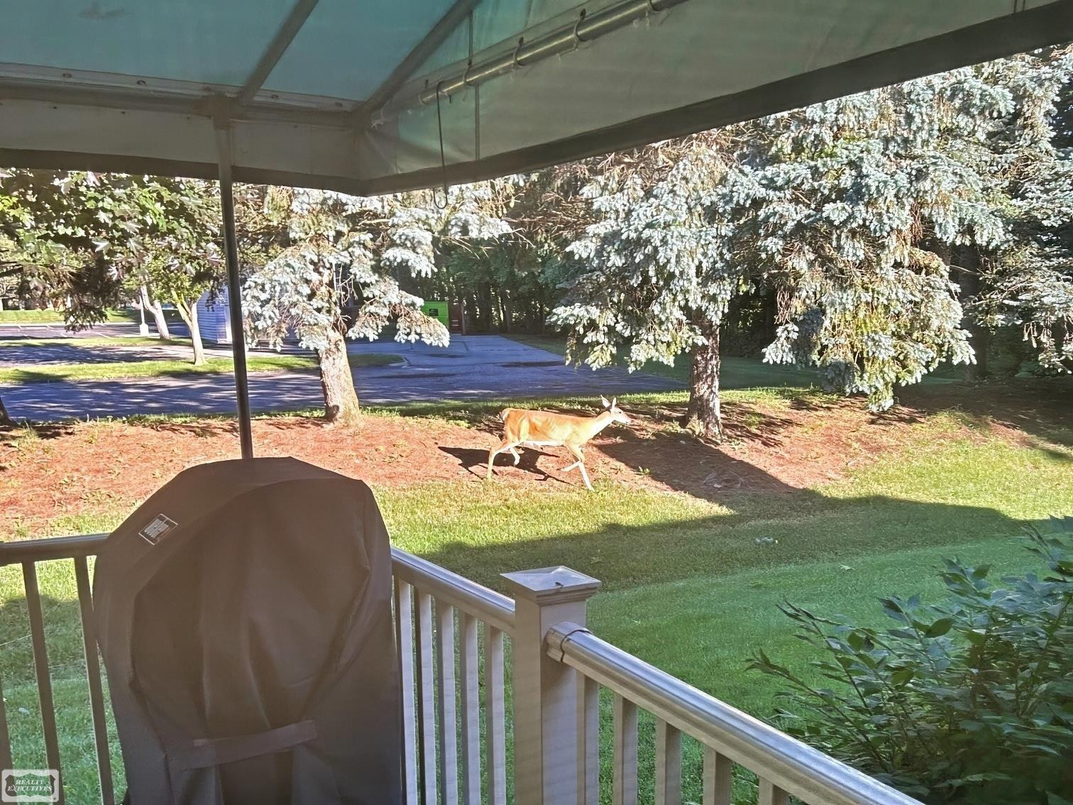 41371 Carmelo W Drive, Clinton Twp, MI 48038 — Photo 33