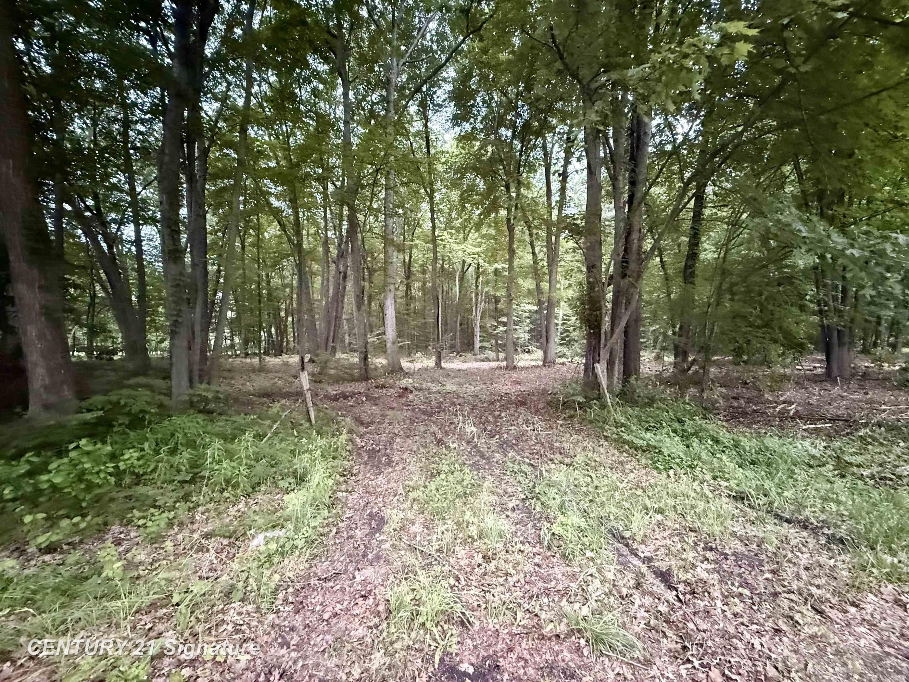 0 Seymour Road, Burt, MI 48417
