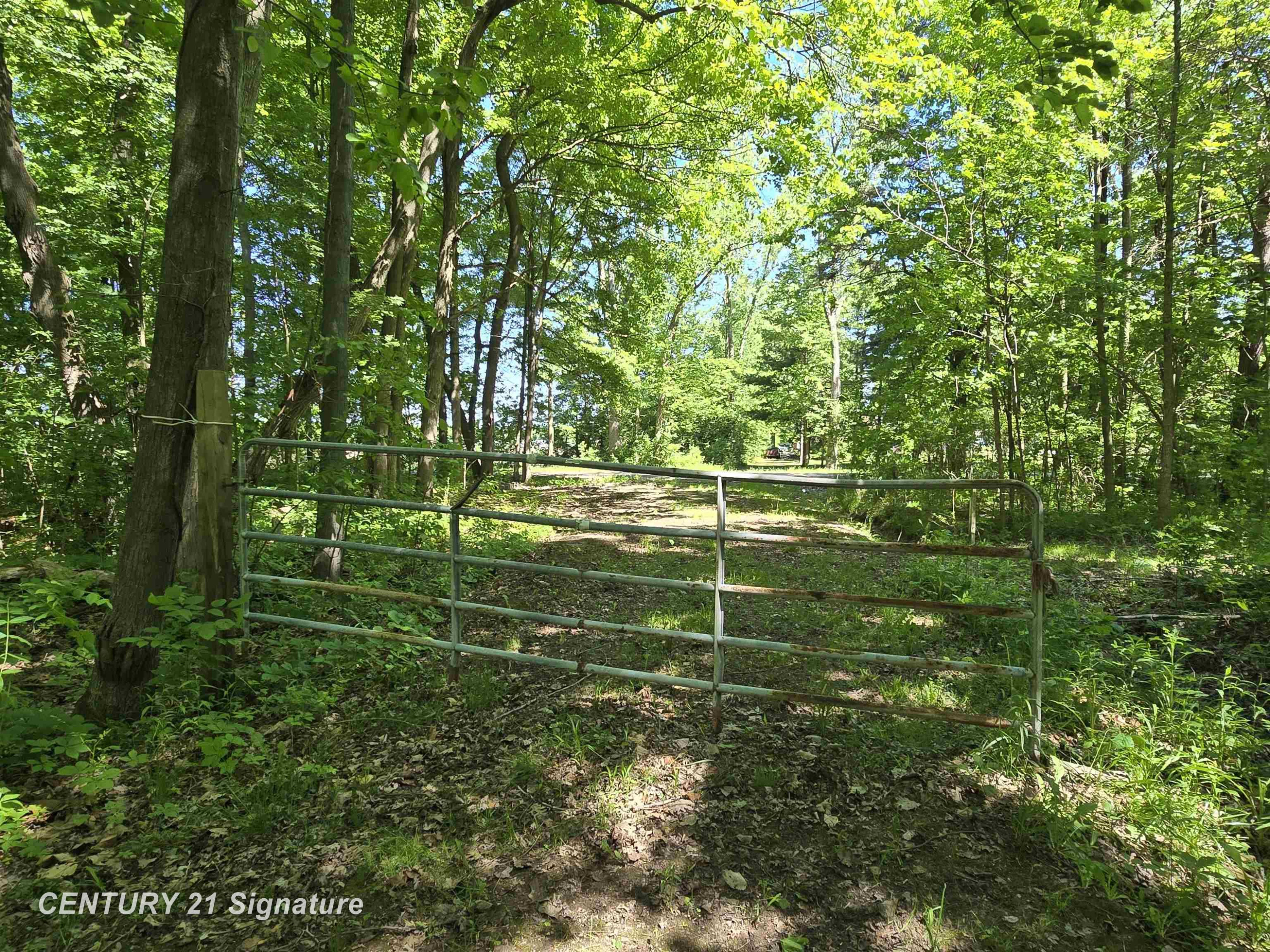 1162 E Farrand Road, Clio, MI 48420 — Photo 57
