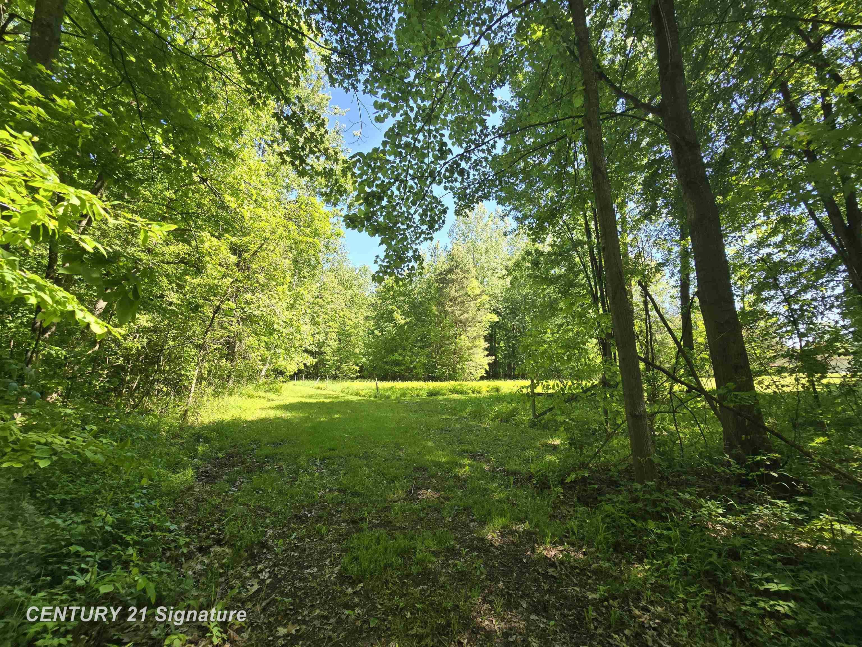 1162 E Farrand Road, Clio, MI 48420 — Photo 58