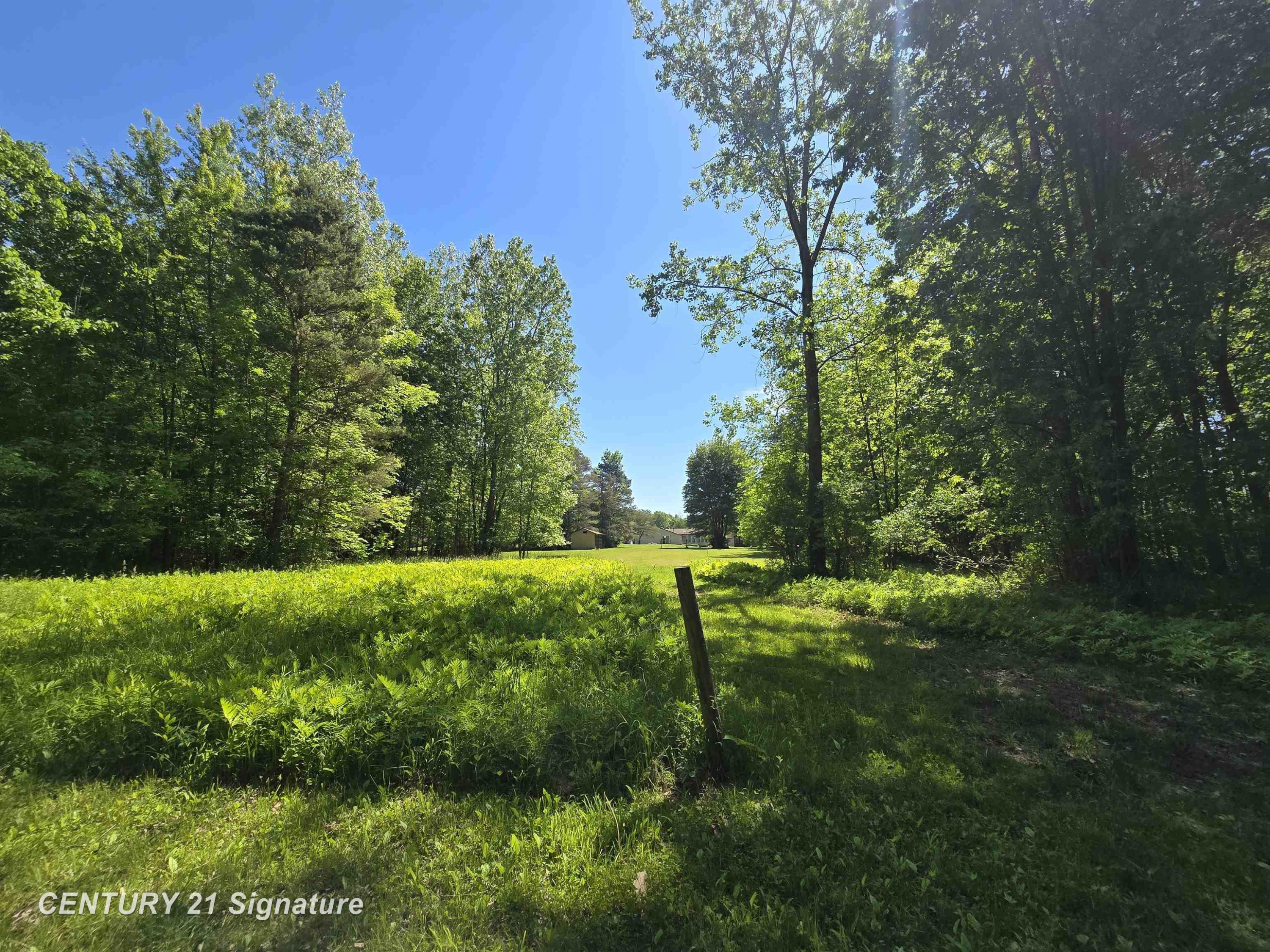 1162 E Farrand Road, Clio, MI 48420 — Photo 59