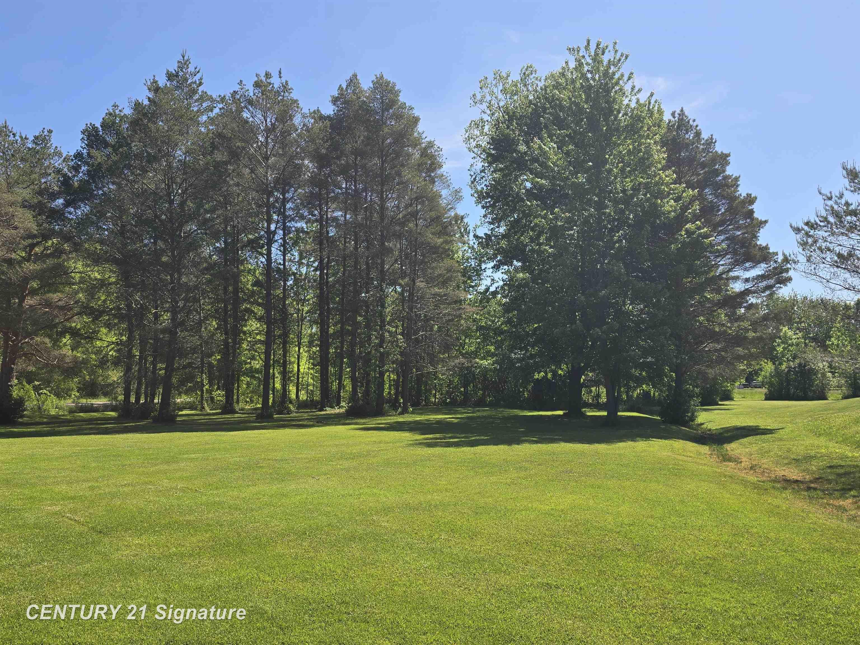 1162 E Farrand Road, Clio, MI 48420 — Photo 60